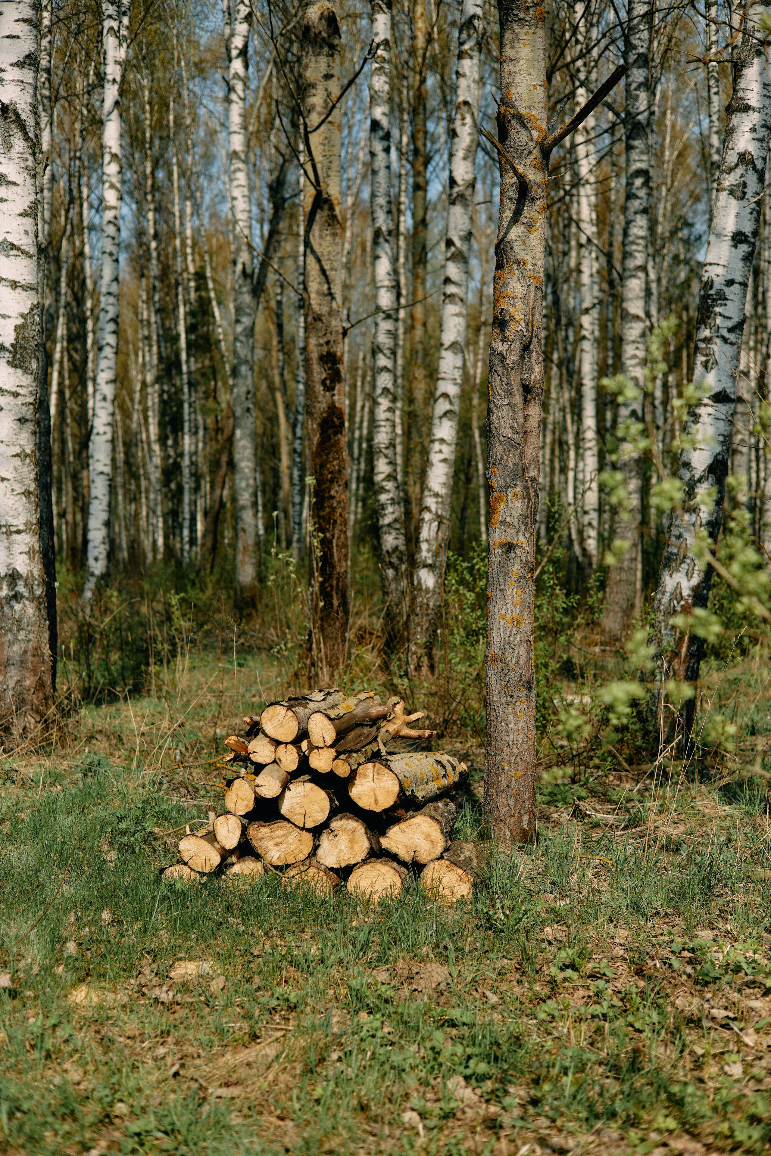 Бутик-отель Поле летом. Профессиональный Фотограф во Владимире, в Москве и в Суздале — Полина Романычева