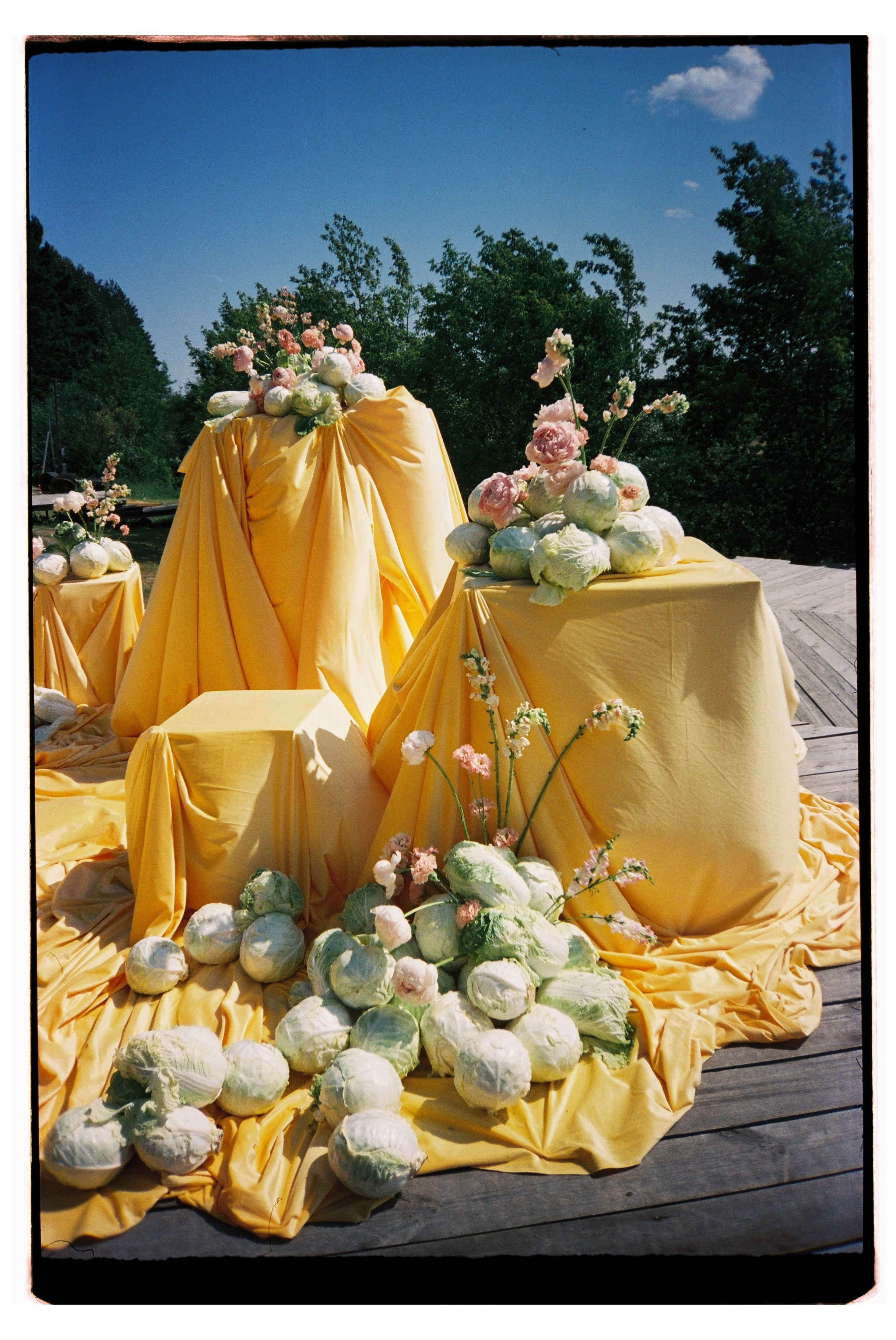 Пленка. Свадебный фотограф Тюмень Анастасия Битная