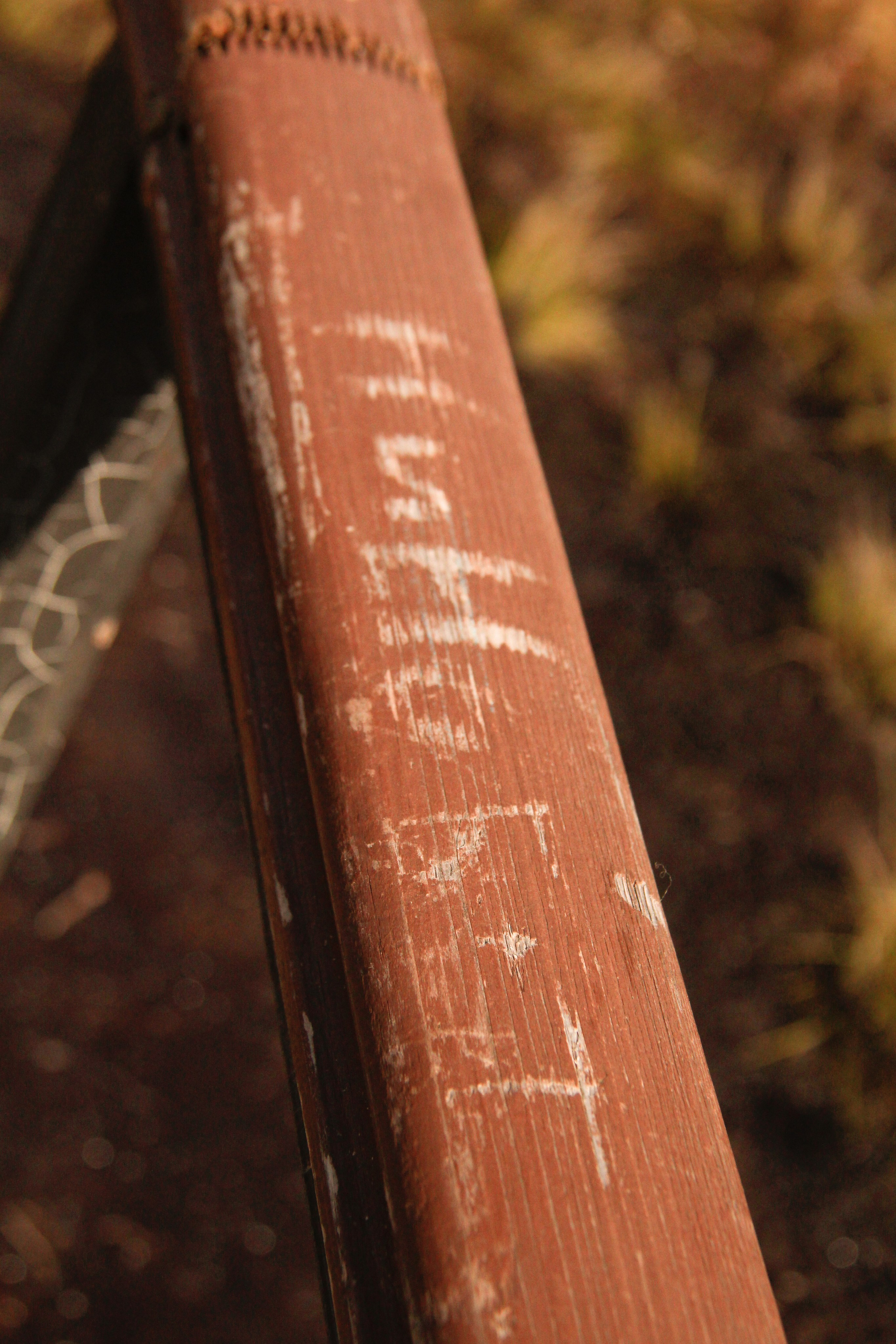 Болотный Хоббит. Карина и Аня. Janie valde | visual artist