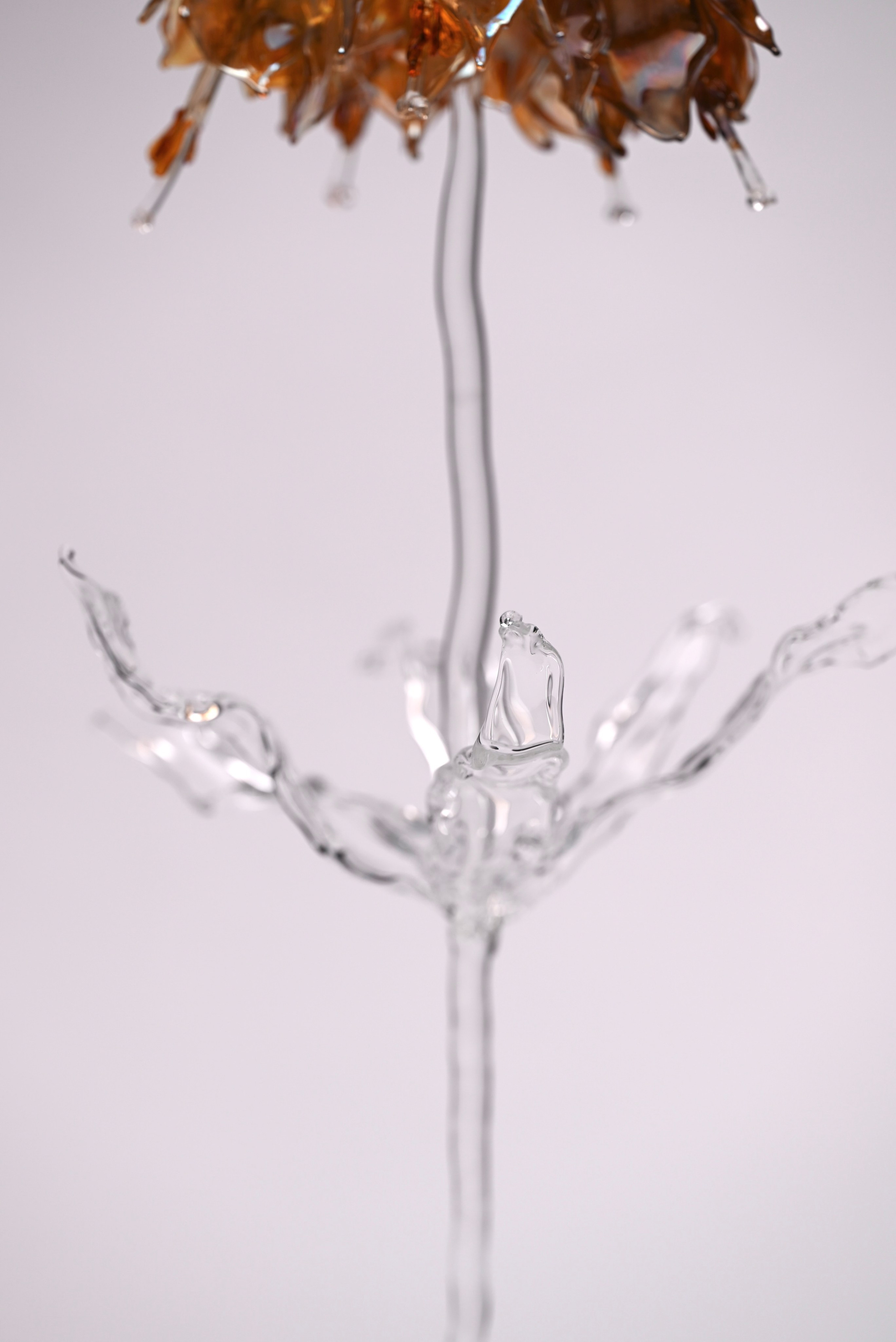 Рябчик императорский. Home