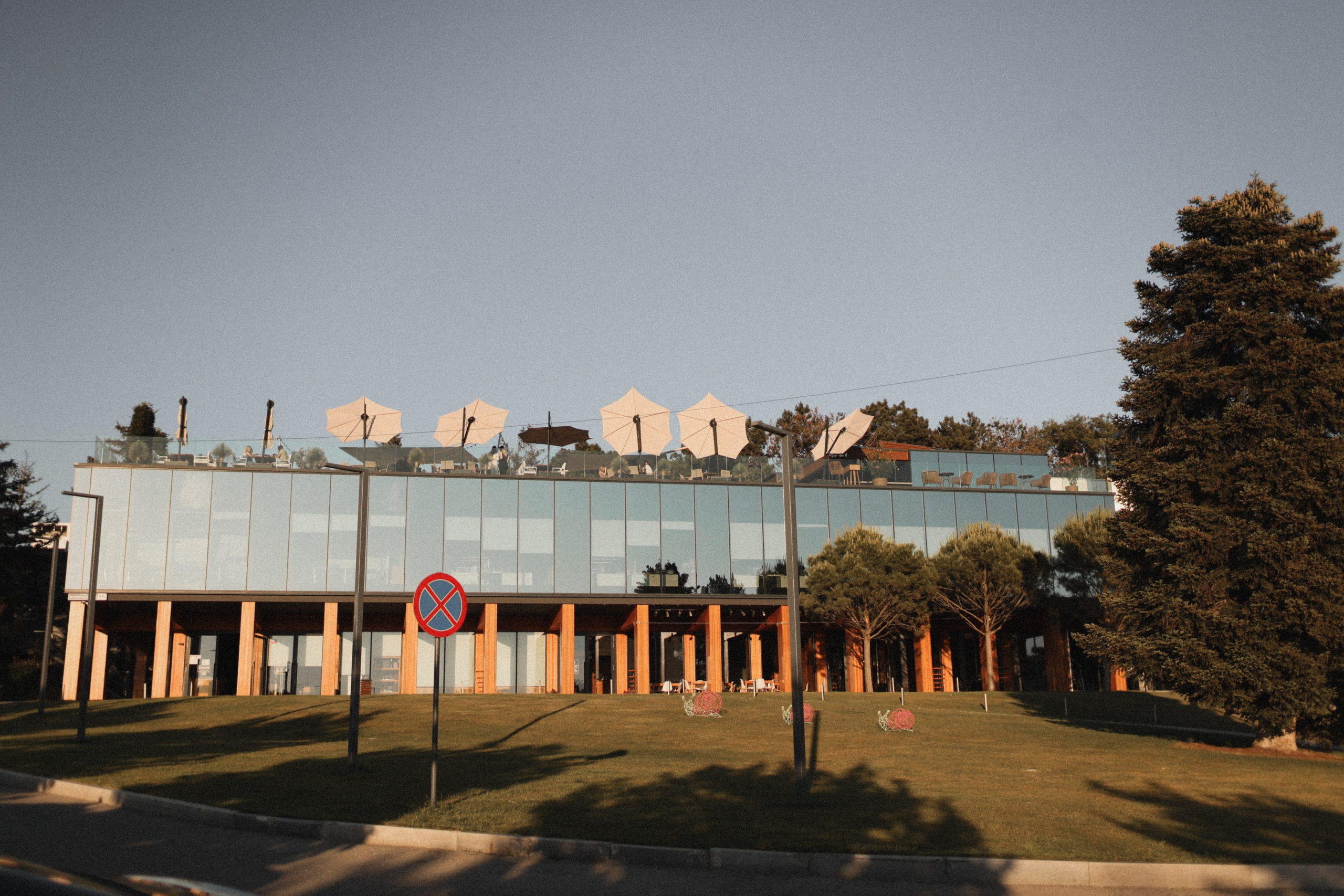 Mushrooms. Фотограф Воронцова Виталия Крым Севастополь