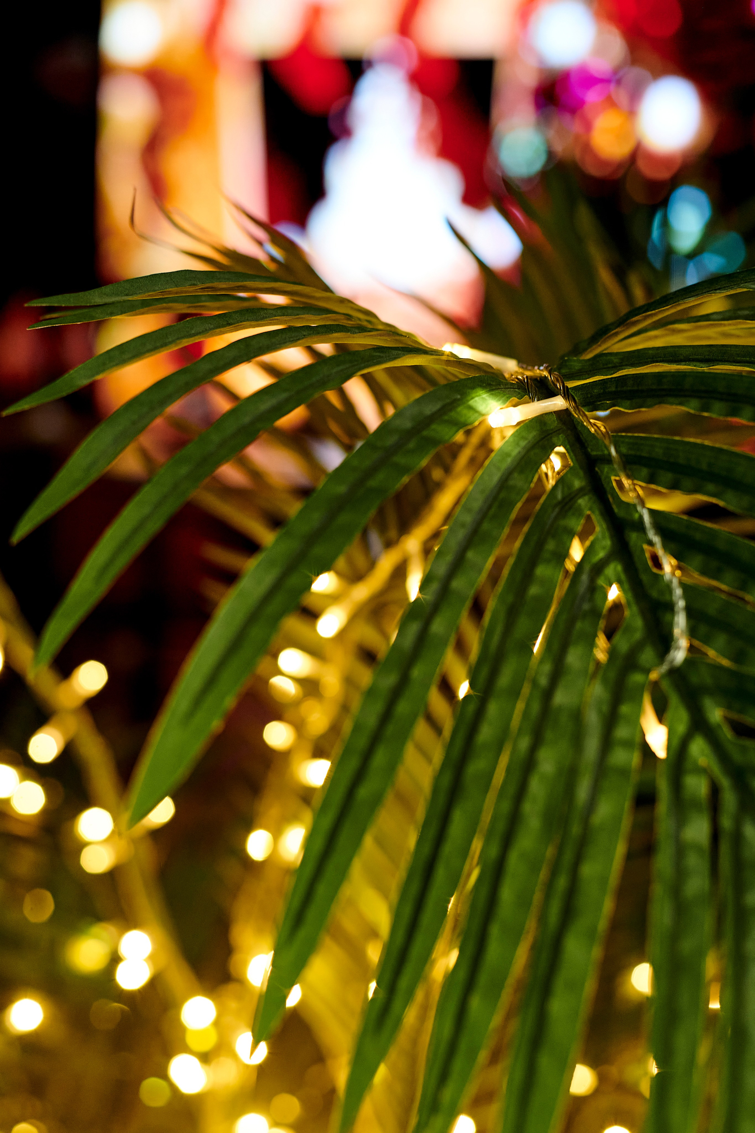 OCS Новогодний огонёк. Фотограф Постольник Дарья