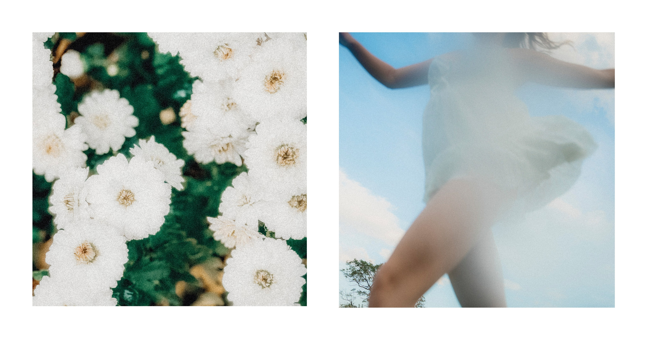 Interpretation. VISUAL ARTIST · KRONGAUZ ANASTASIA