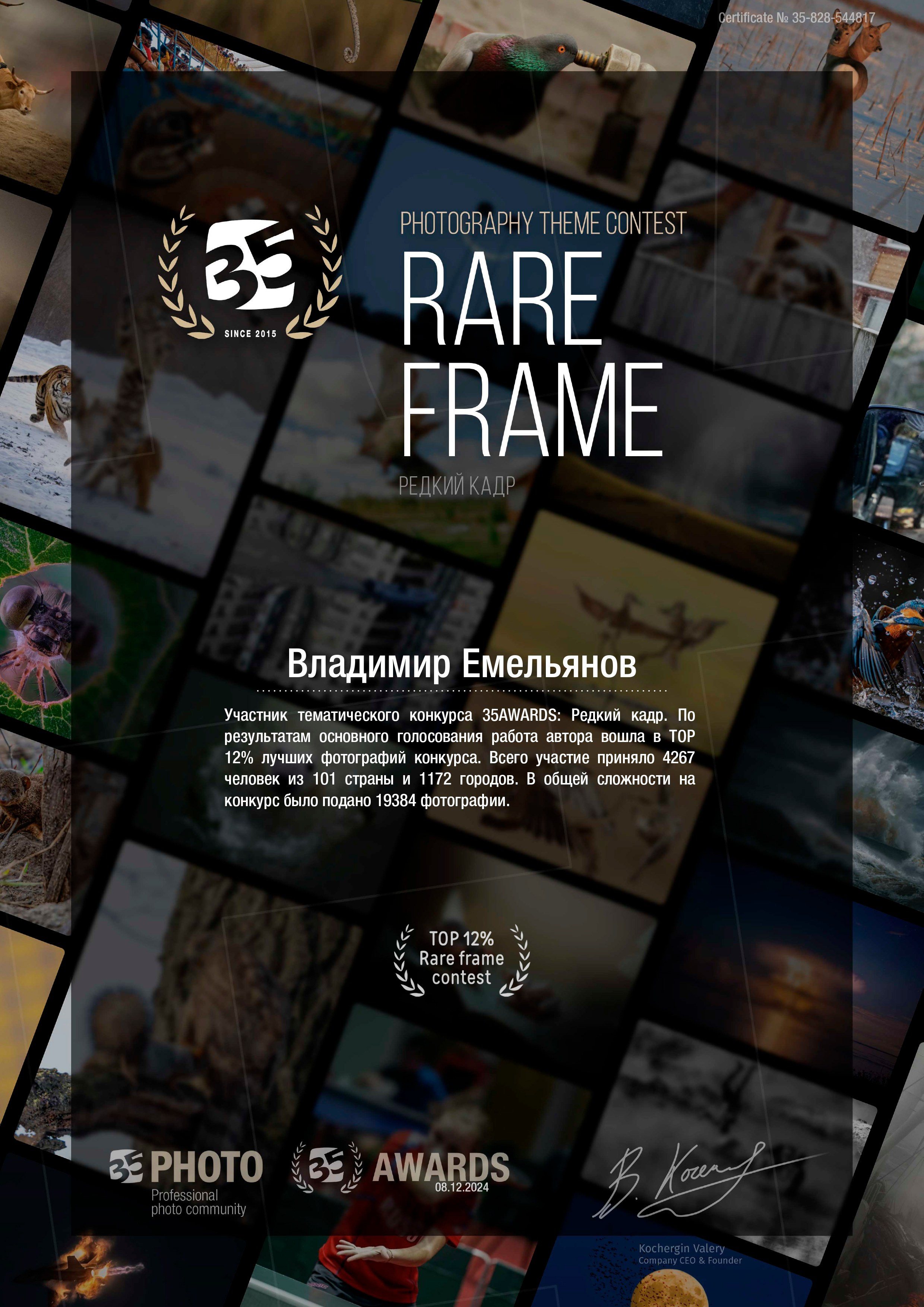 Награды и благодарности. Фотостудия Портрет Свадебный и семейный фотограф в Рязани