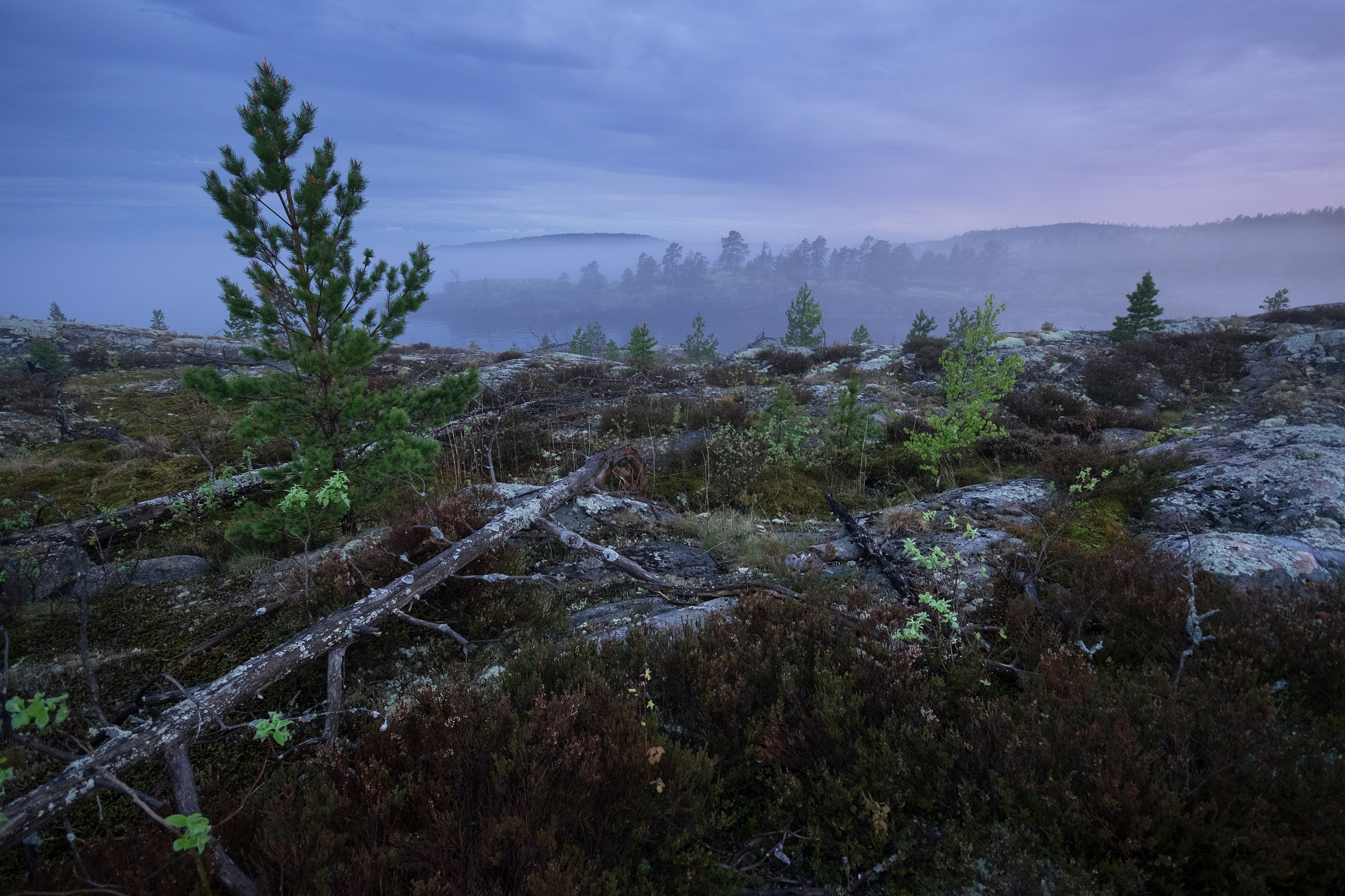 Карелия. Фотограф Антон Денисенко: Портрет, Документалистика, Пейзаж. Москва