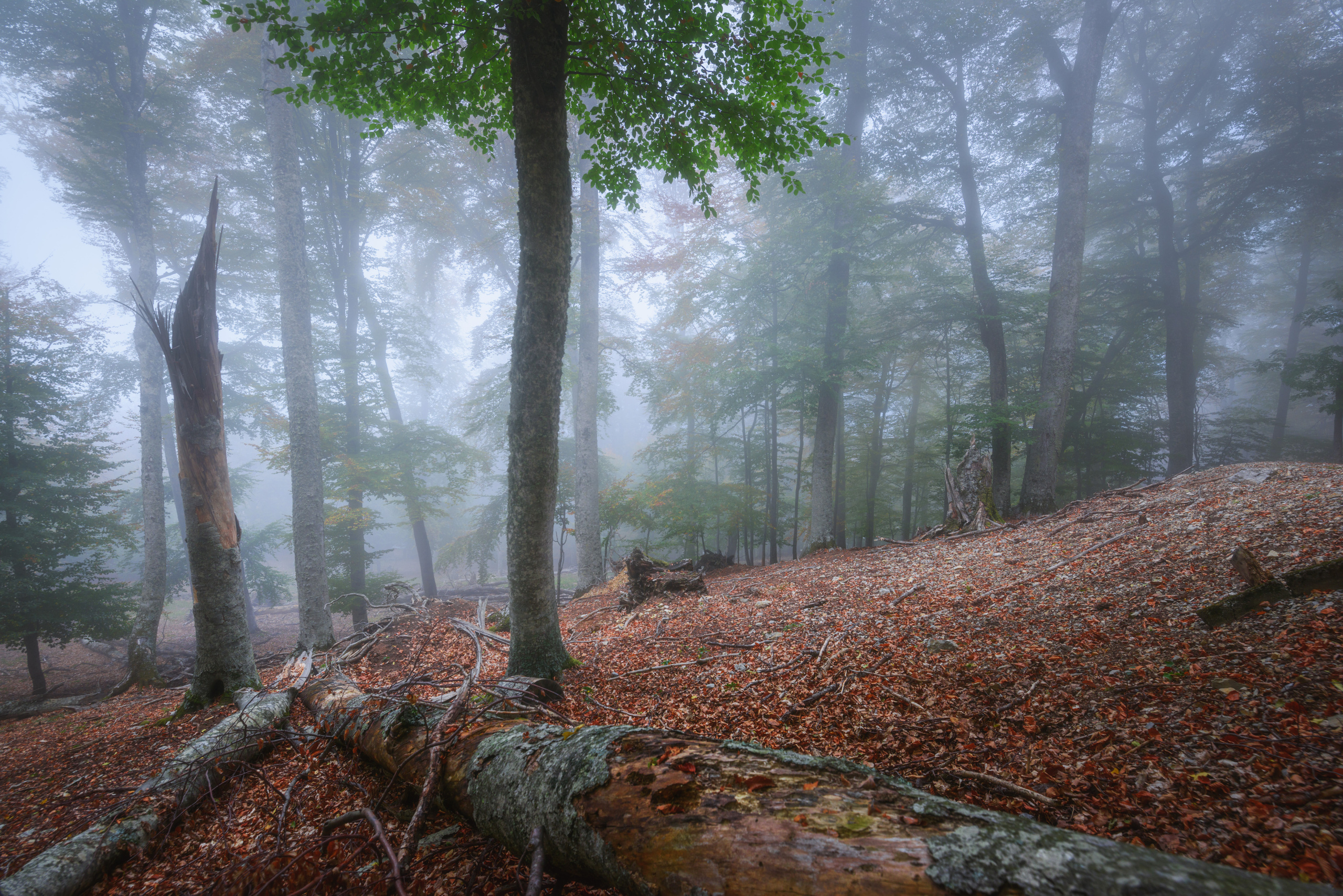 Крым. Фотограф Антон Денисенко: Портрет, Документалистика, Пейзаж. Москва