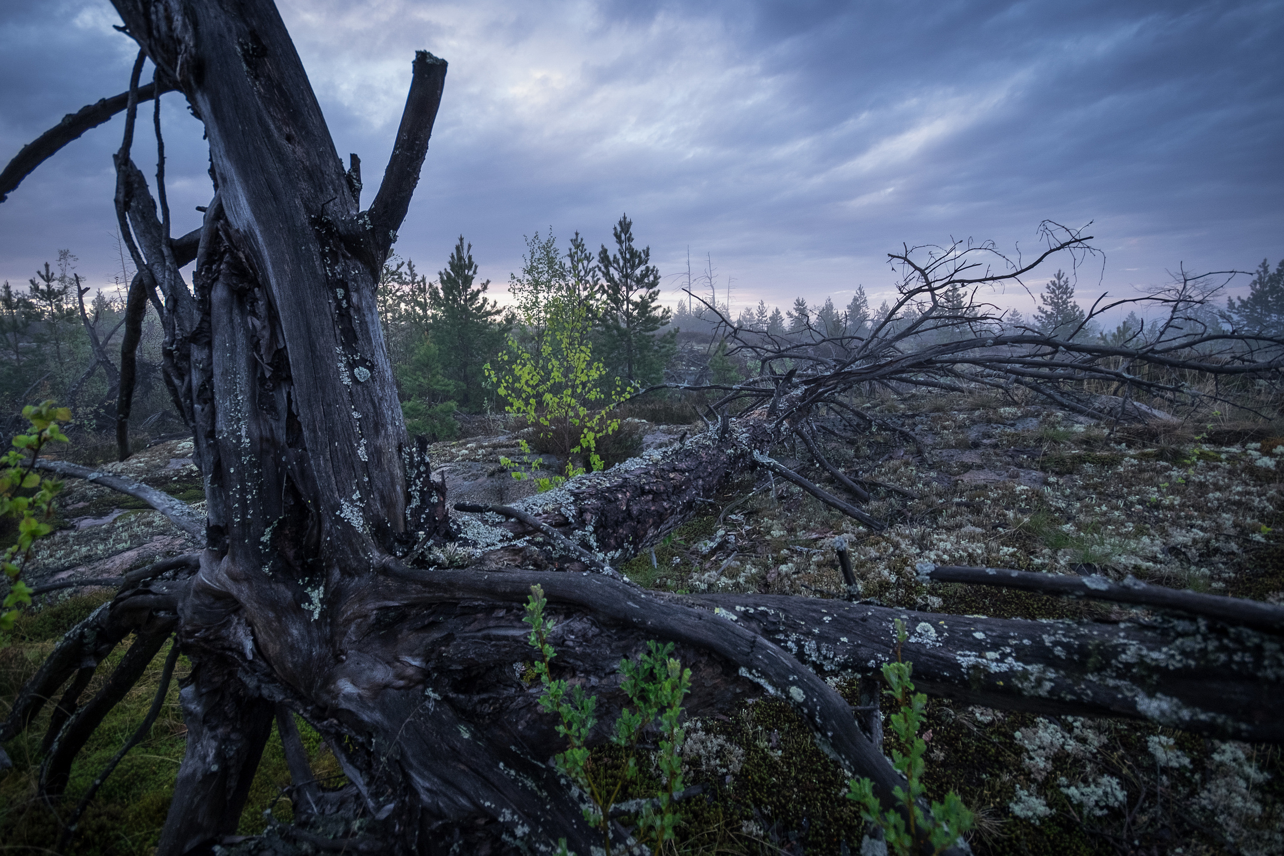 Карелия. Фотограф Антон Денисенко: Портрет, Документалистика, Пейзаж. Москва