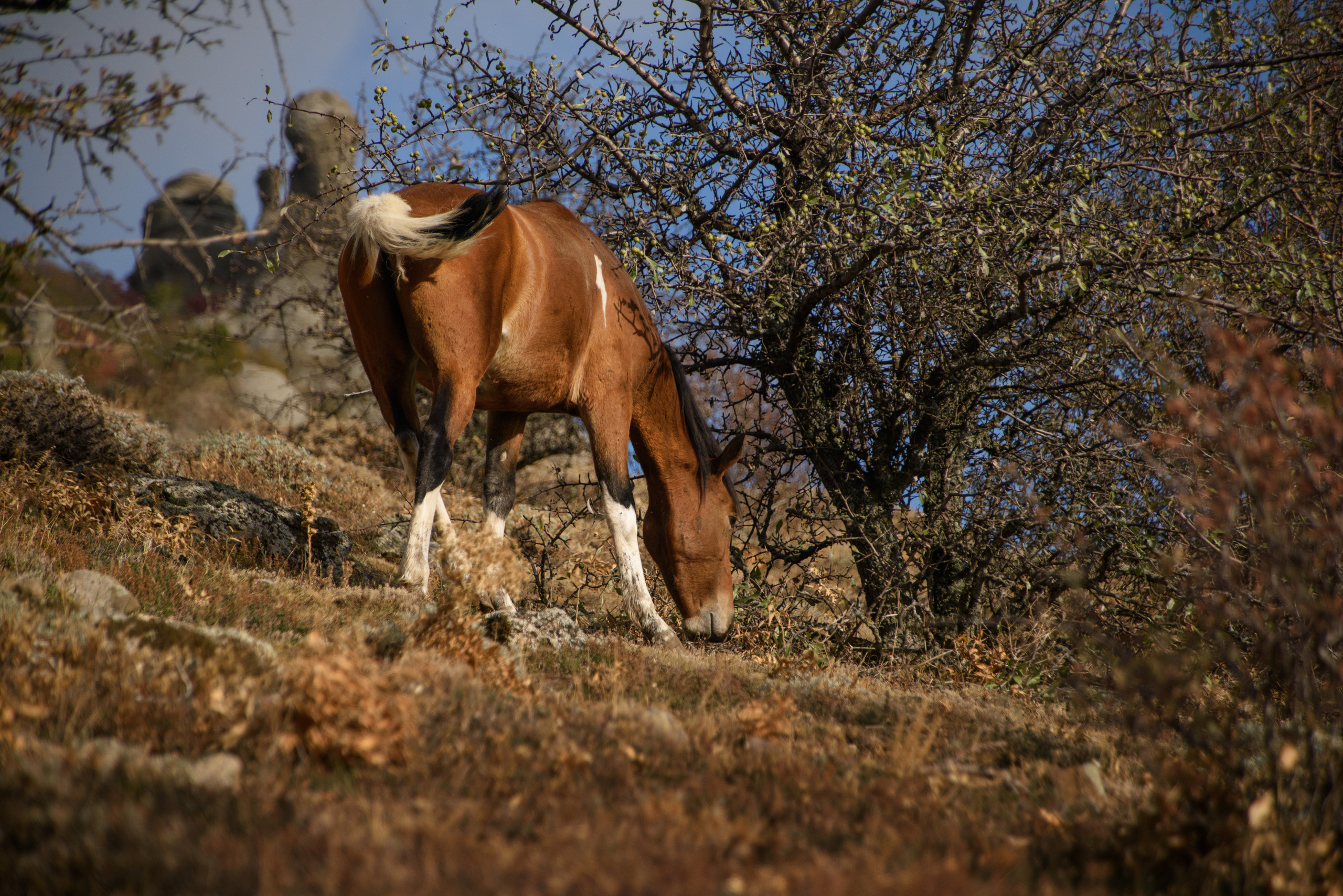 Крым. Фотограф Антон Денисенко: Портрет, Документалистика, Пейзаж. Москва