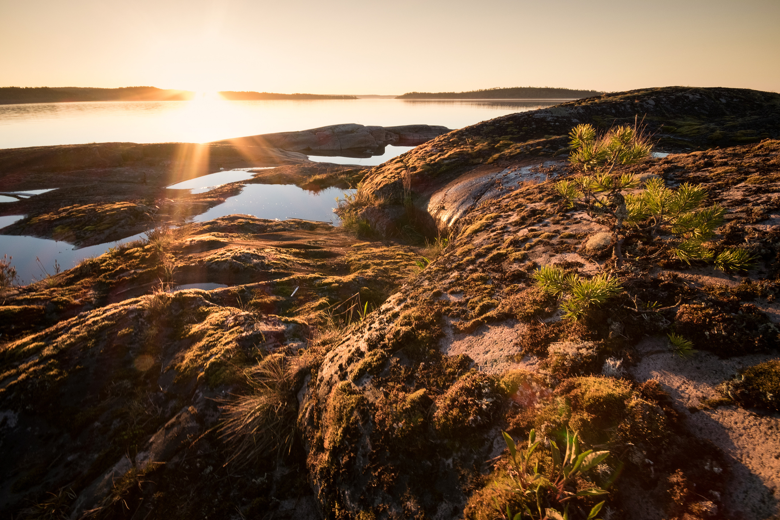 Карелия. Фотограф Антон Денисенко: Портрет, Документалистика, Пейзаж. Москва
