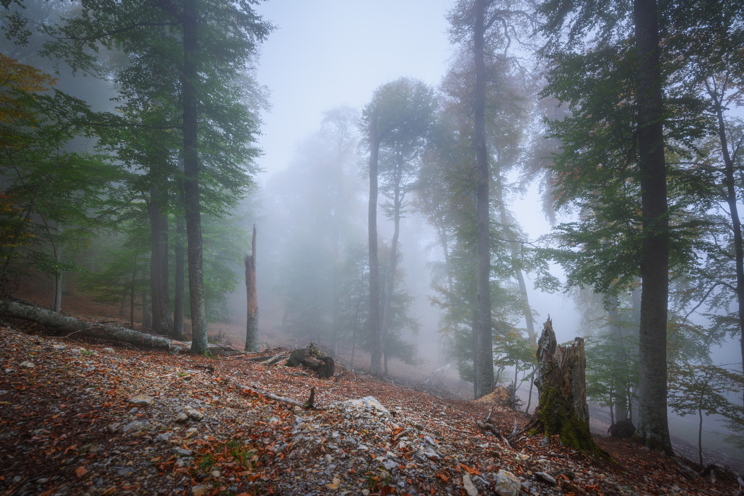 Крым. Фотограф Антон Денисенко: Портрет, Документалистика, Пейзаж. Москва