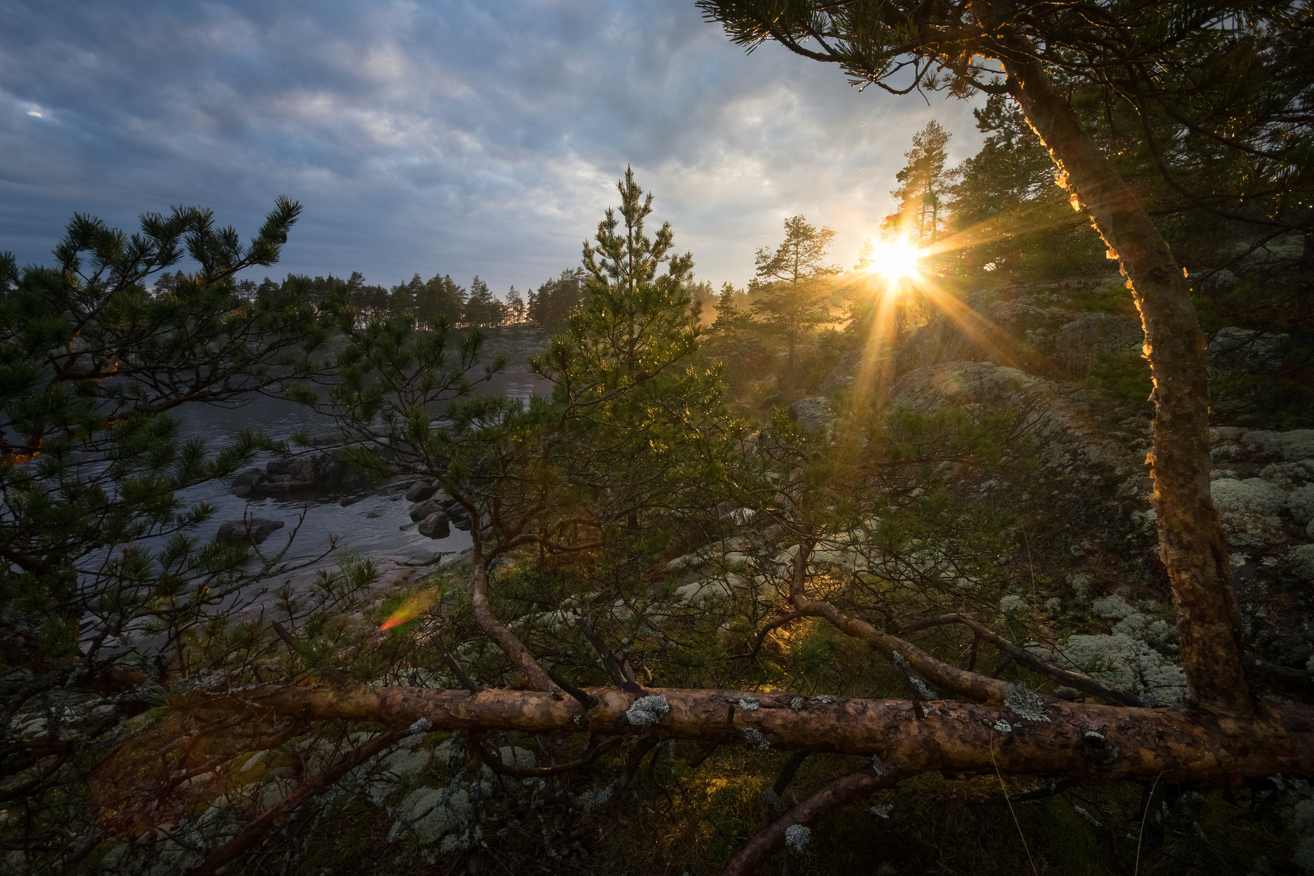 Карелия. Фотограф Антон Денисенко: Портрет, Документалистика, Пейзаж. Москва