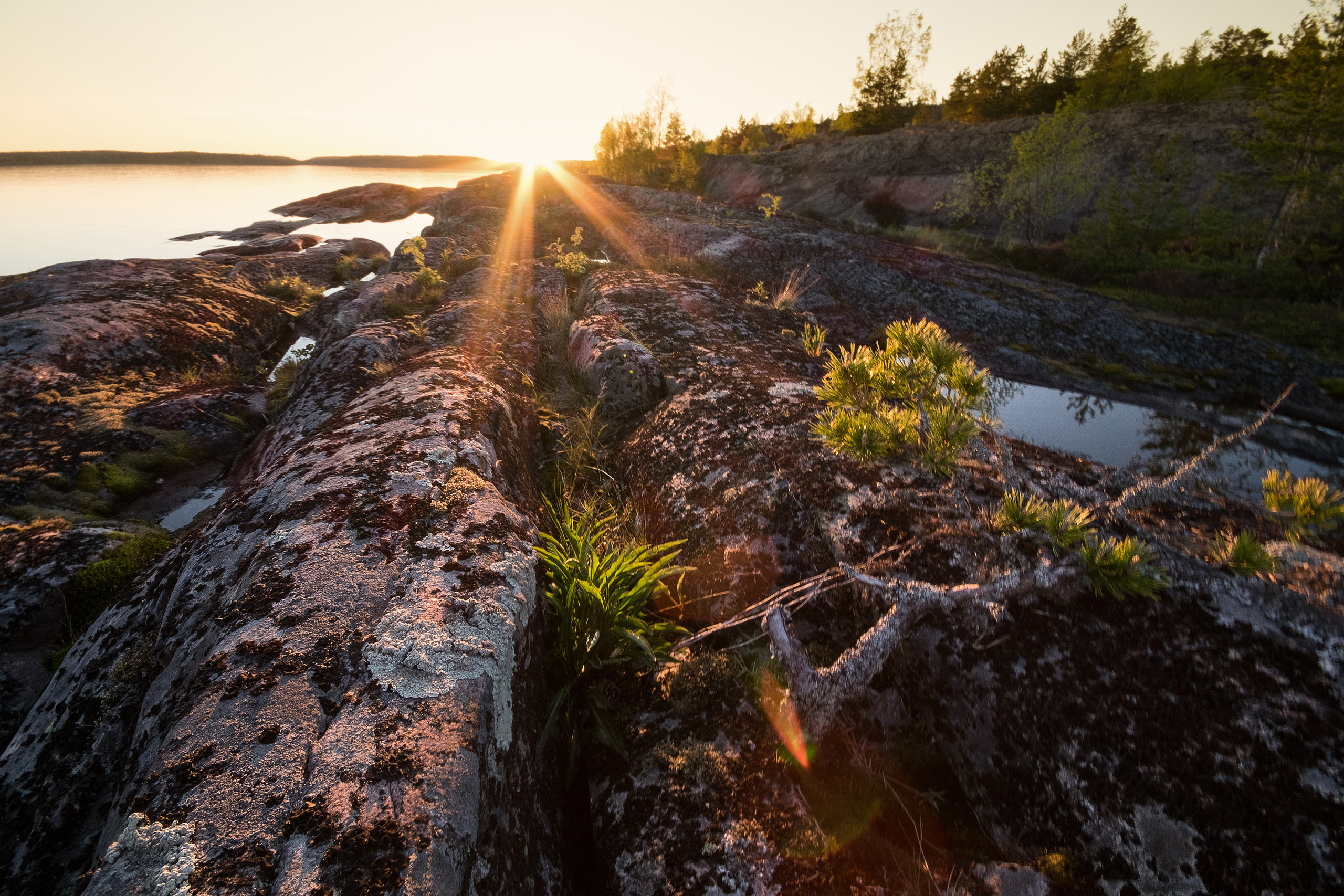 Карелия. Фотограф Антон Денисенко: Портрет, Документалистика, Пейзаж. Москва