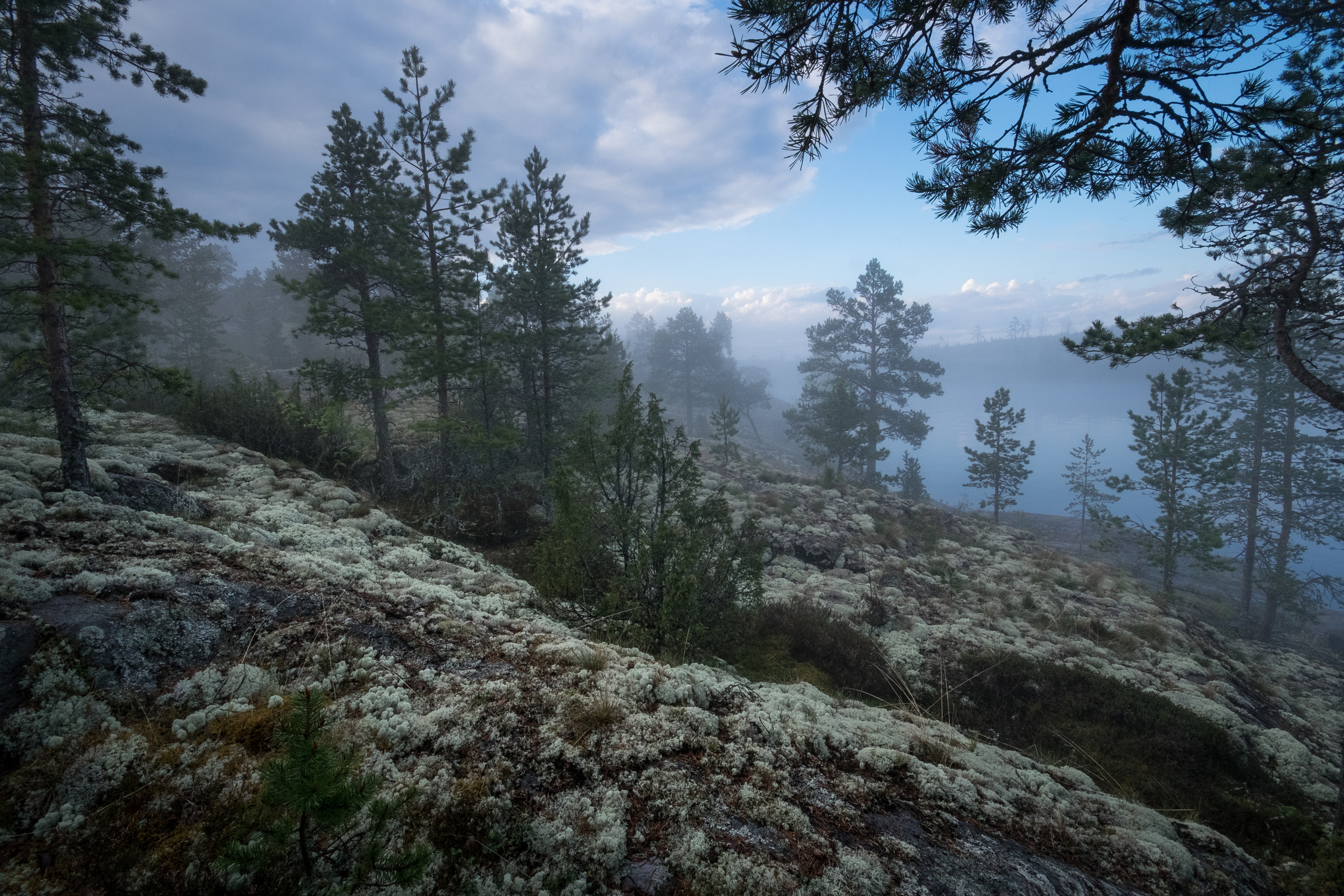Карелия. Фотограф Антон Денисенко: Портрет, Документалистика, Пейзаж. Москва