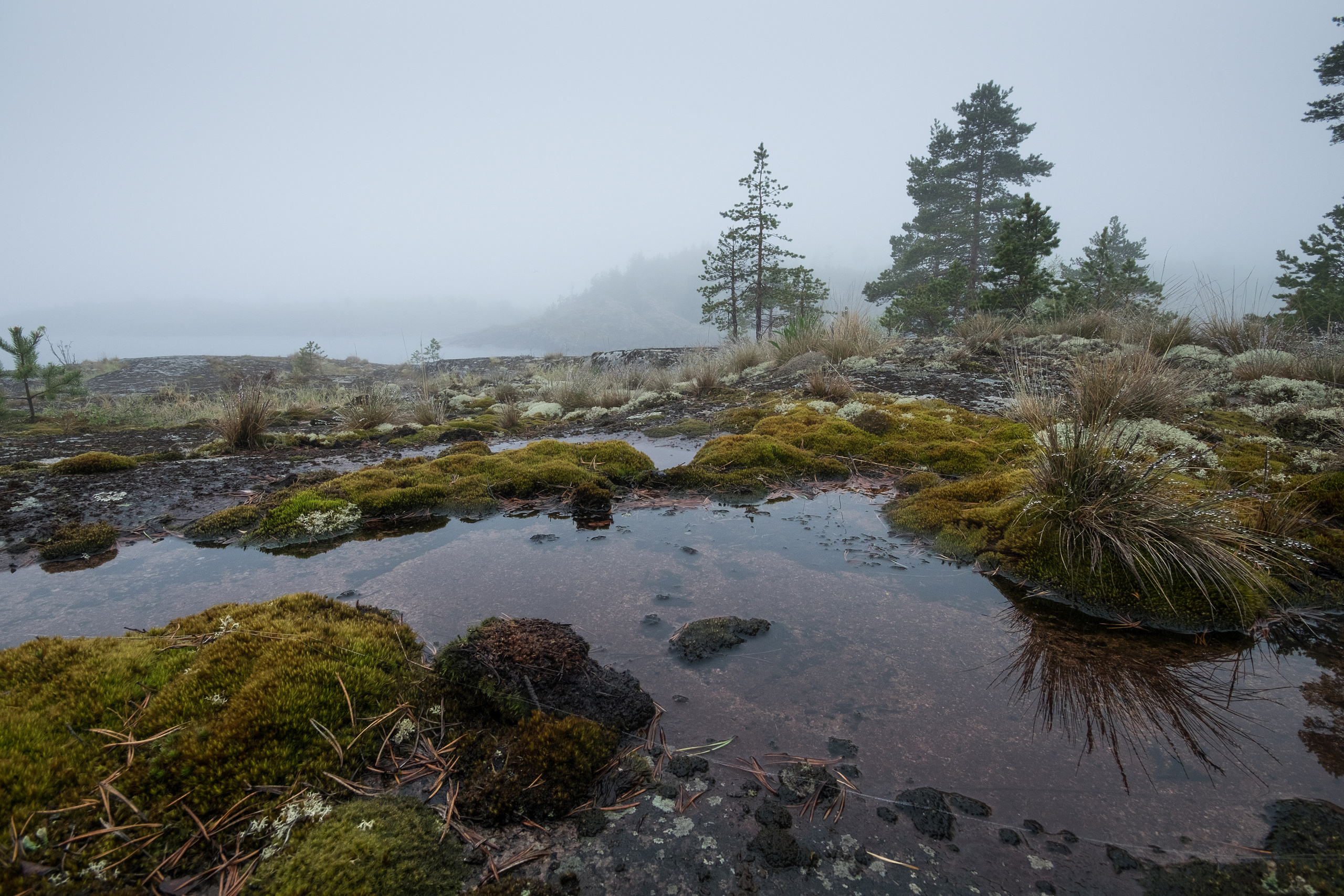 Карелия. Фотограф Антон Денисенко: Портрет, Документалистика, Пейзаж. Москва