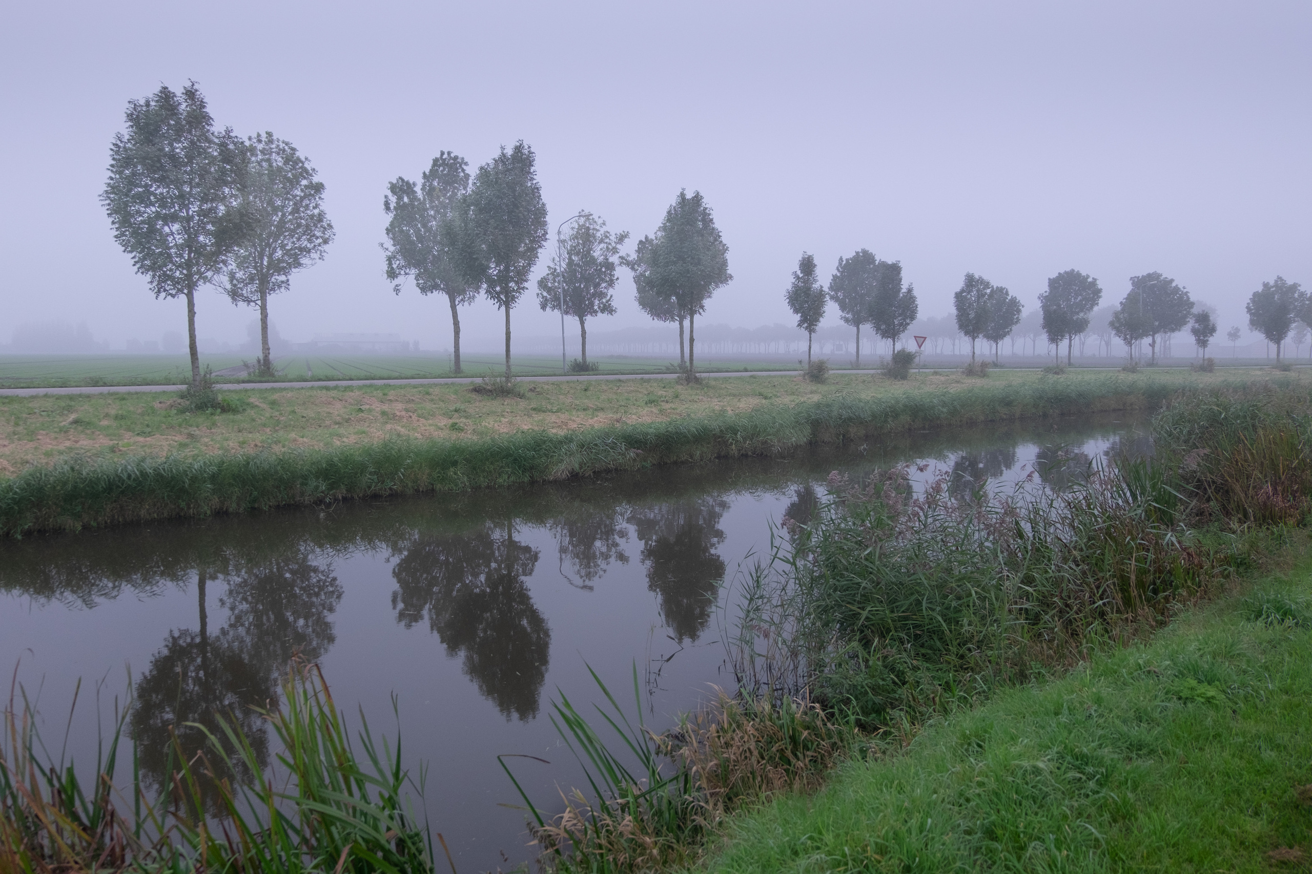 Амстердам I. Фотограф Антон Денисенко: Портрет, Документалистика, Пейзаж. Москва