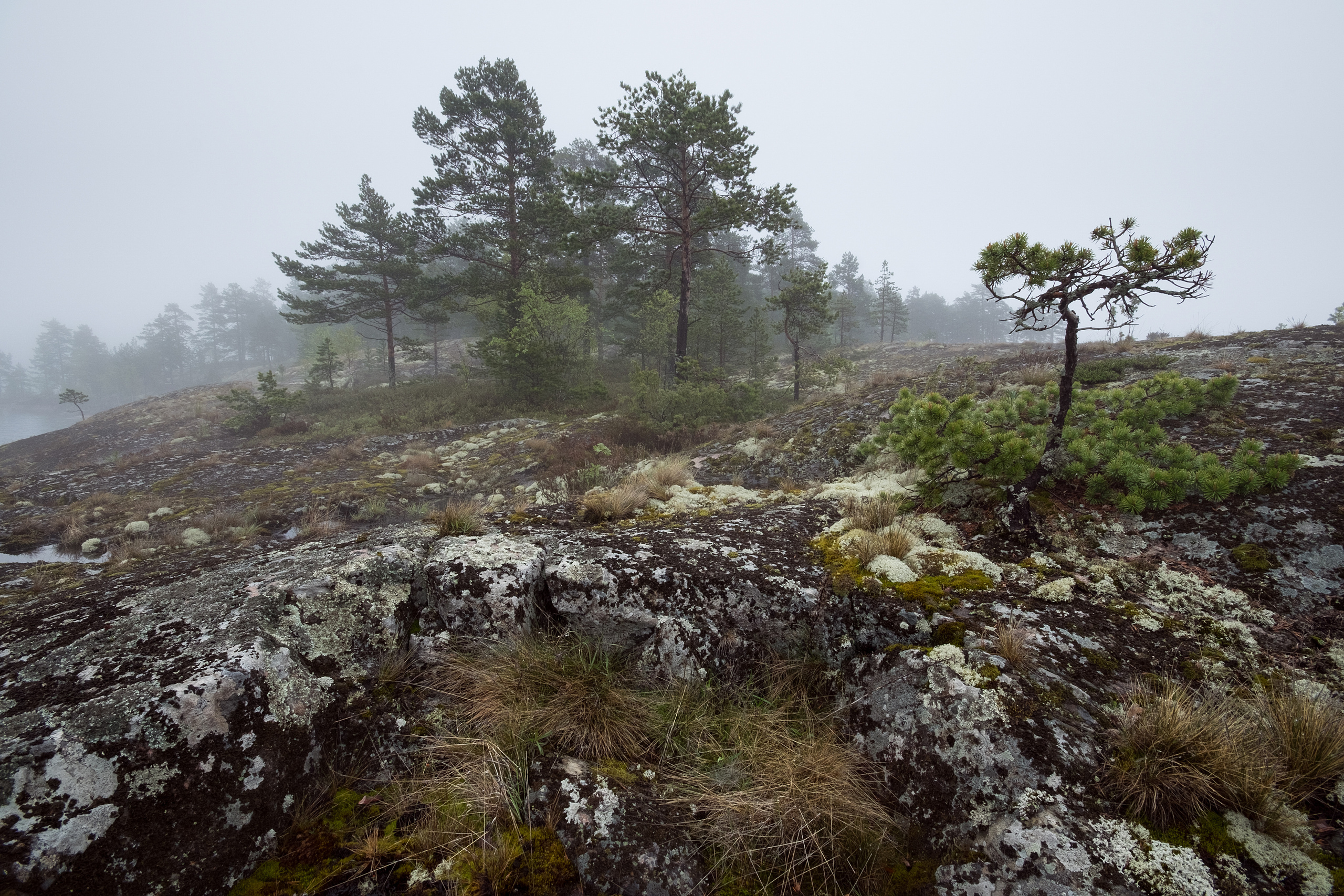 Карелия. Фотограф Антон Денисенко: Портрет, Документалистика, Пейзаж. Москва