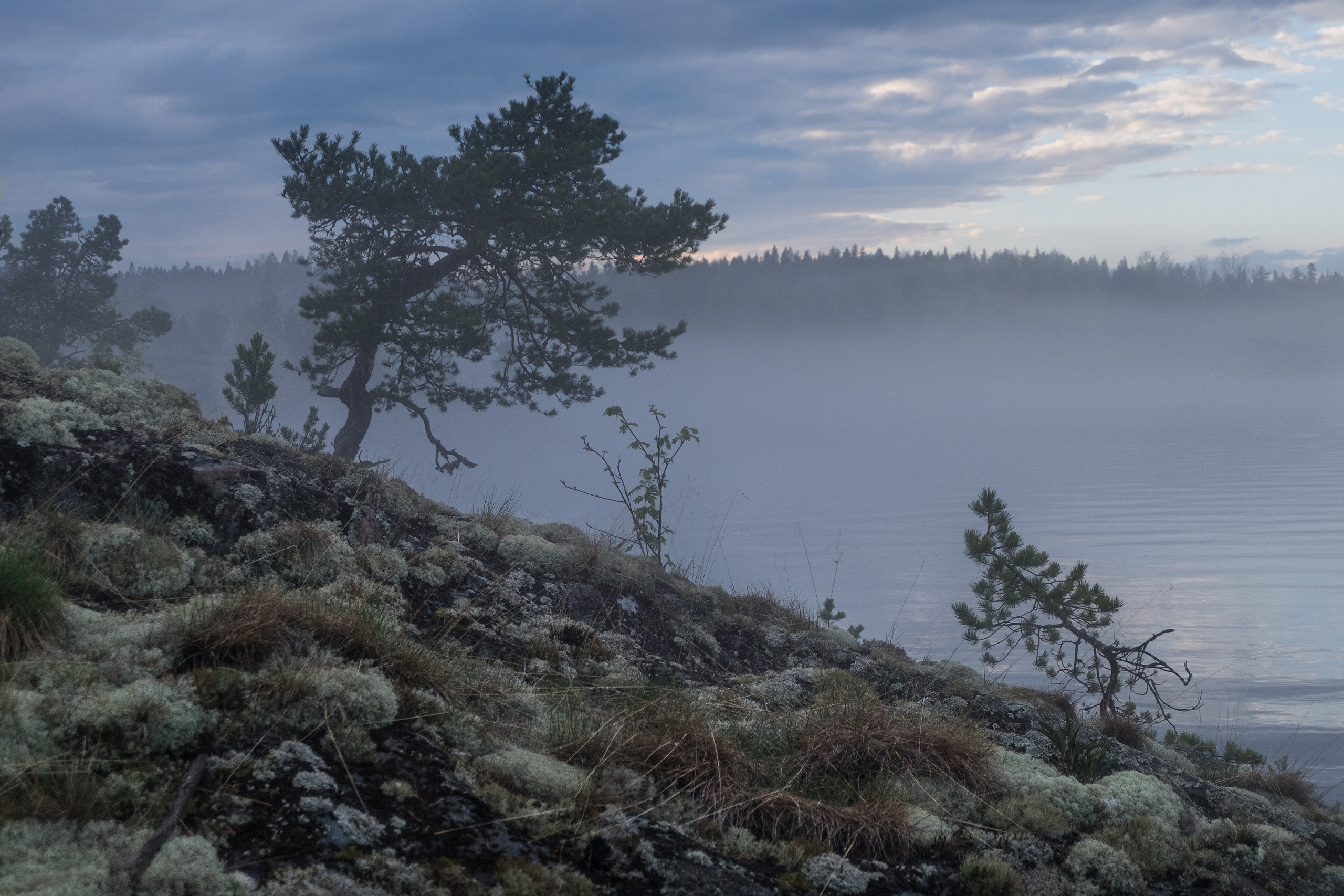 Карелия. Фотограф Антон Денисенко: Портрет, Документалистика, Пейзаж. Москва