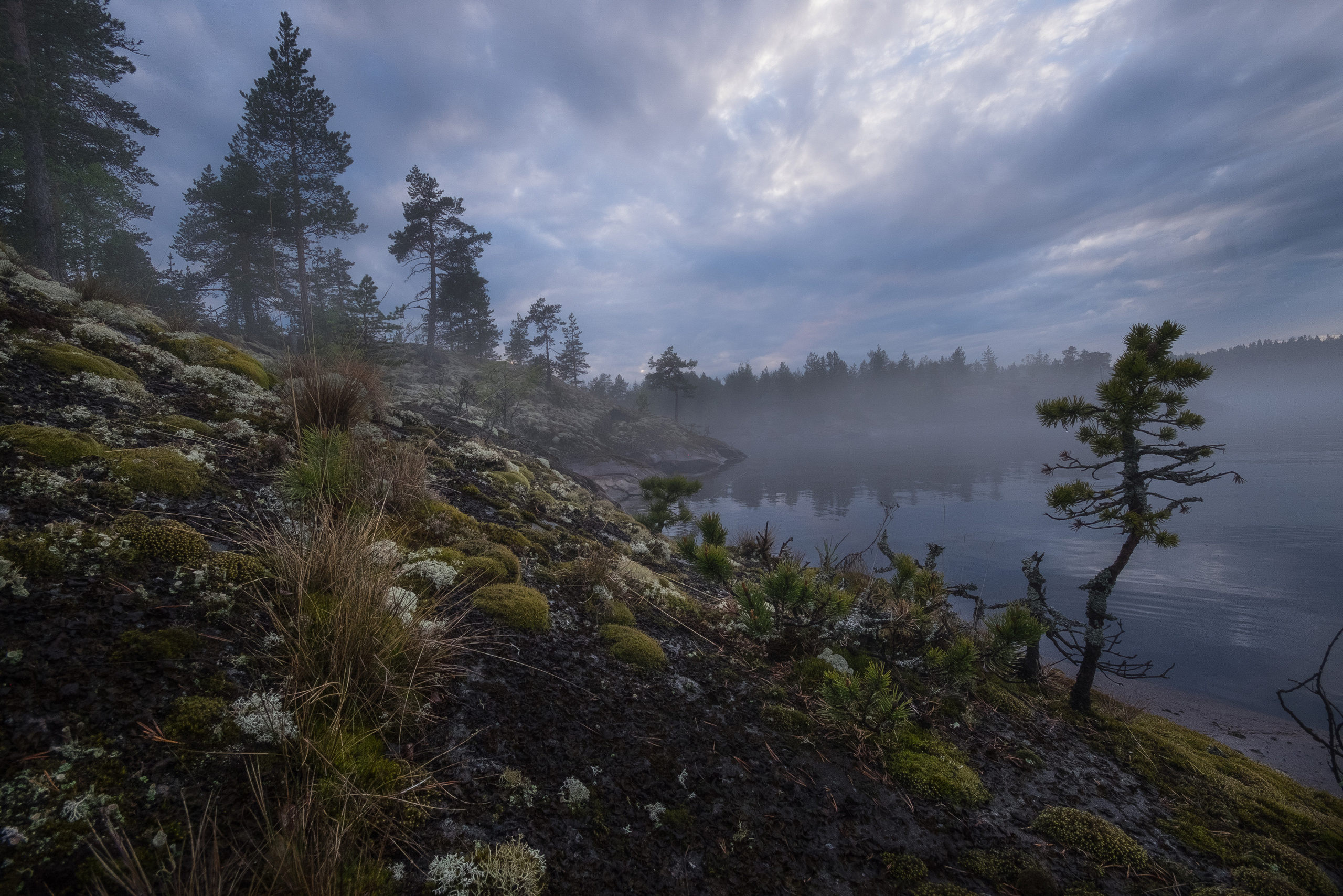 Карелия. Фотограф Антон Денисенко: Портрет, Документалистика, Пейзаж. Москва
