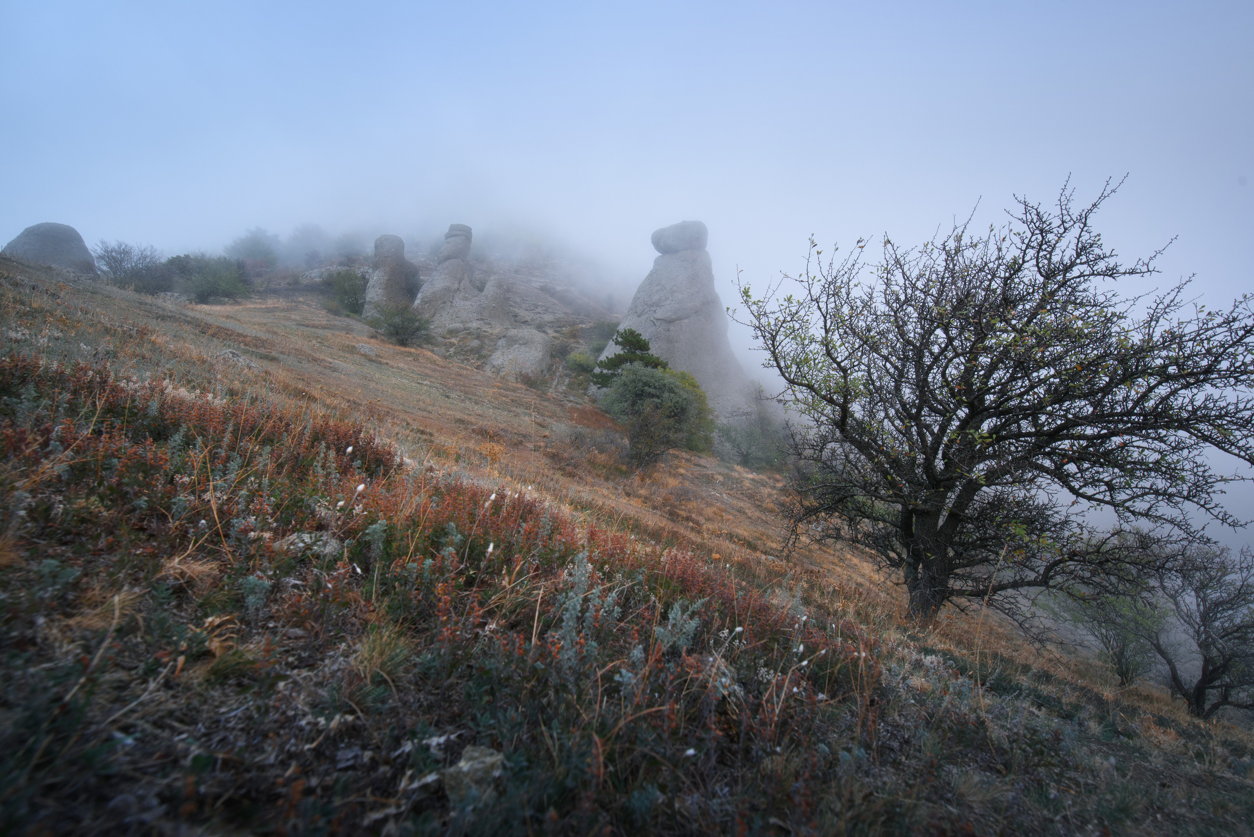 Крым. Фотограф Антон Денисенко: Портрет, Документалистика, Пейзаж. Москва