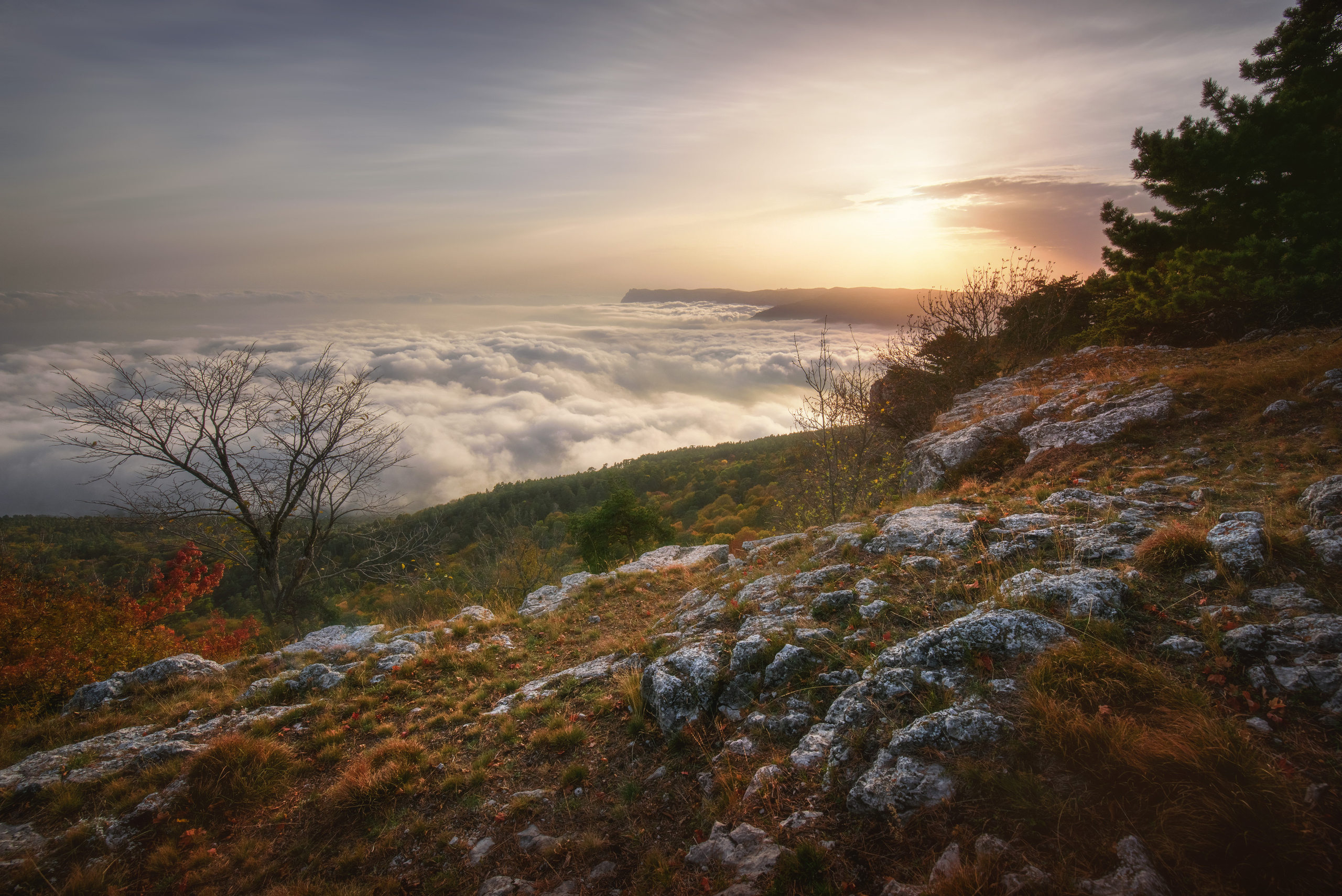 Крым. Фотограф Антон Денисенко: Портрет, Документалистика, Пейзаж. Москва