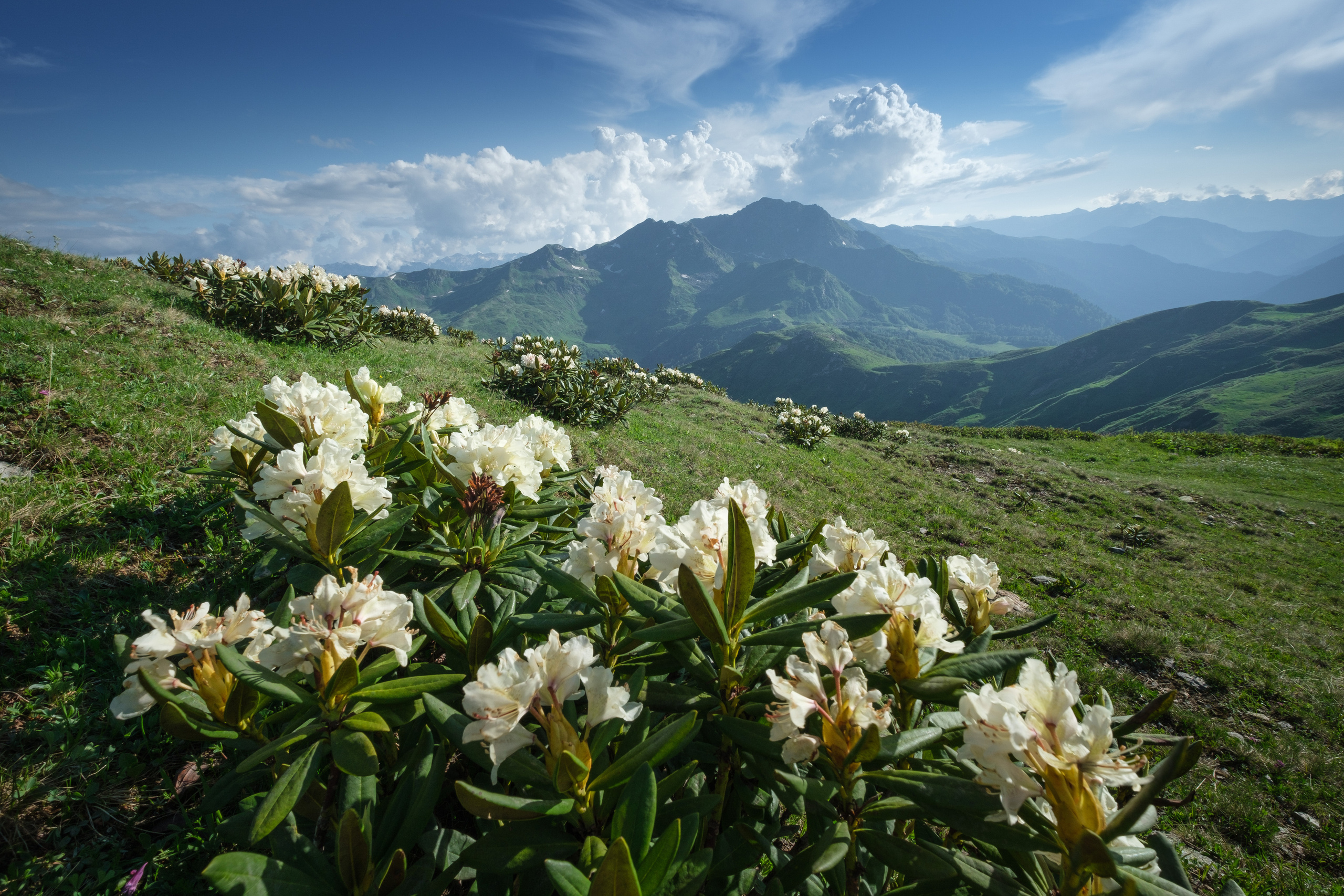 Фотограф Антон Денисенко: Портрет, Документалистика, Пейзаж. Фотограф Антон Денисенко: Портрет, Документалистика, Пейзаж. Москва