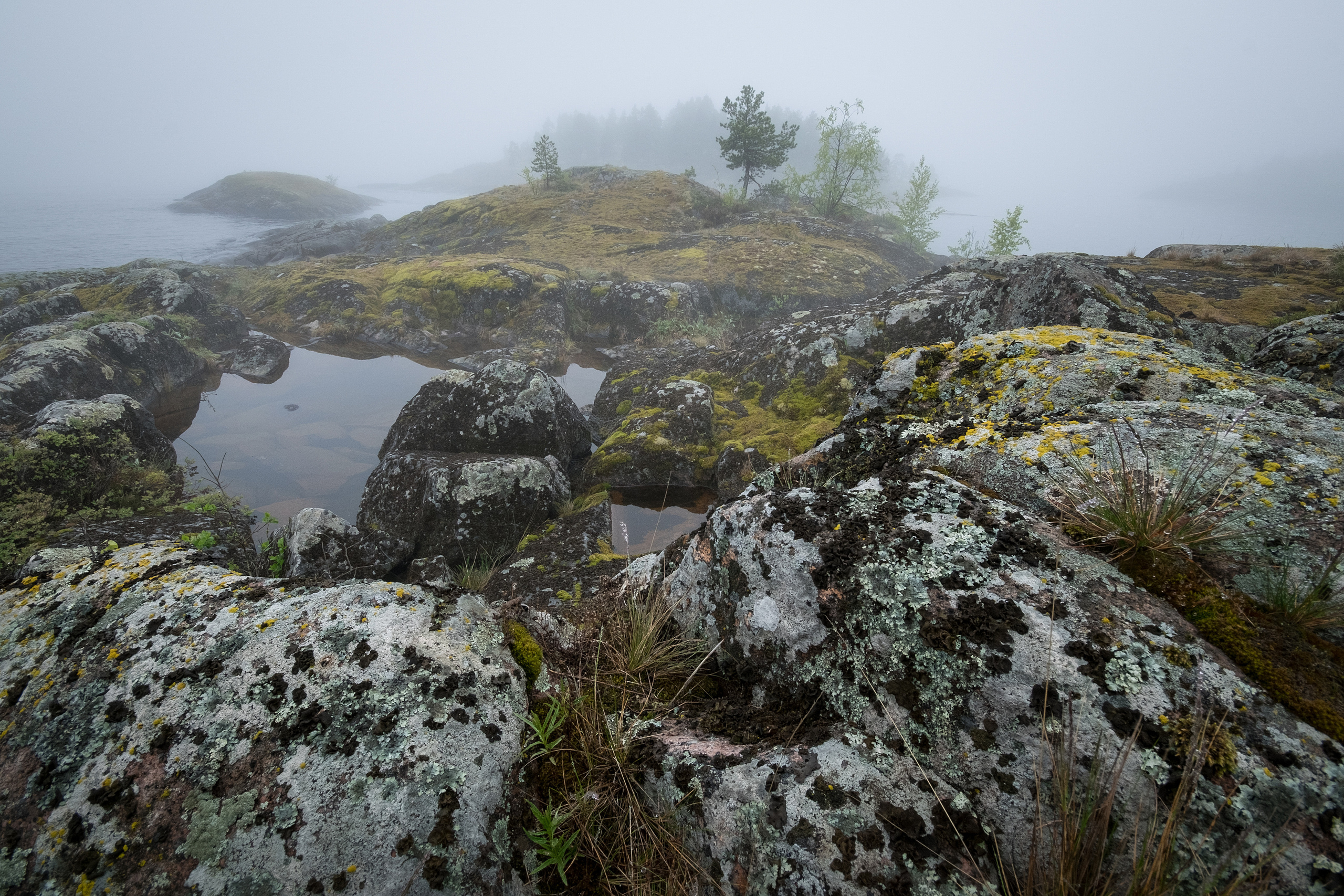 Карелия. Фотограф Антон Денисенко: Портрет, Документалистика, Пейзаж. Москва