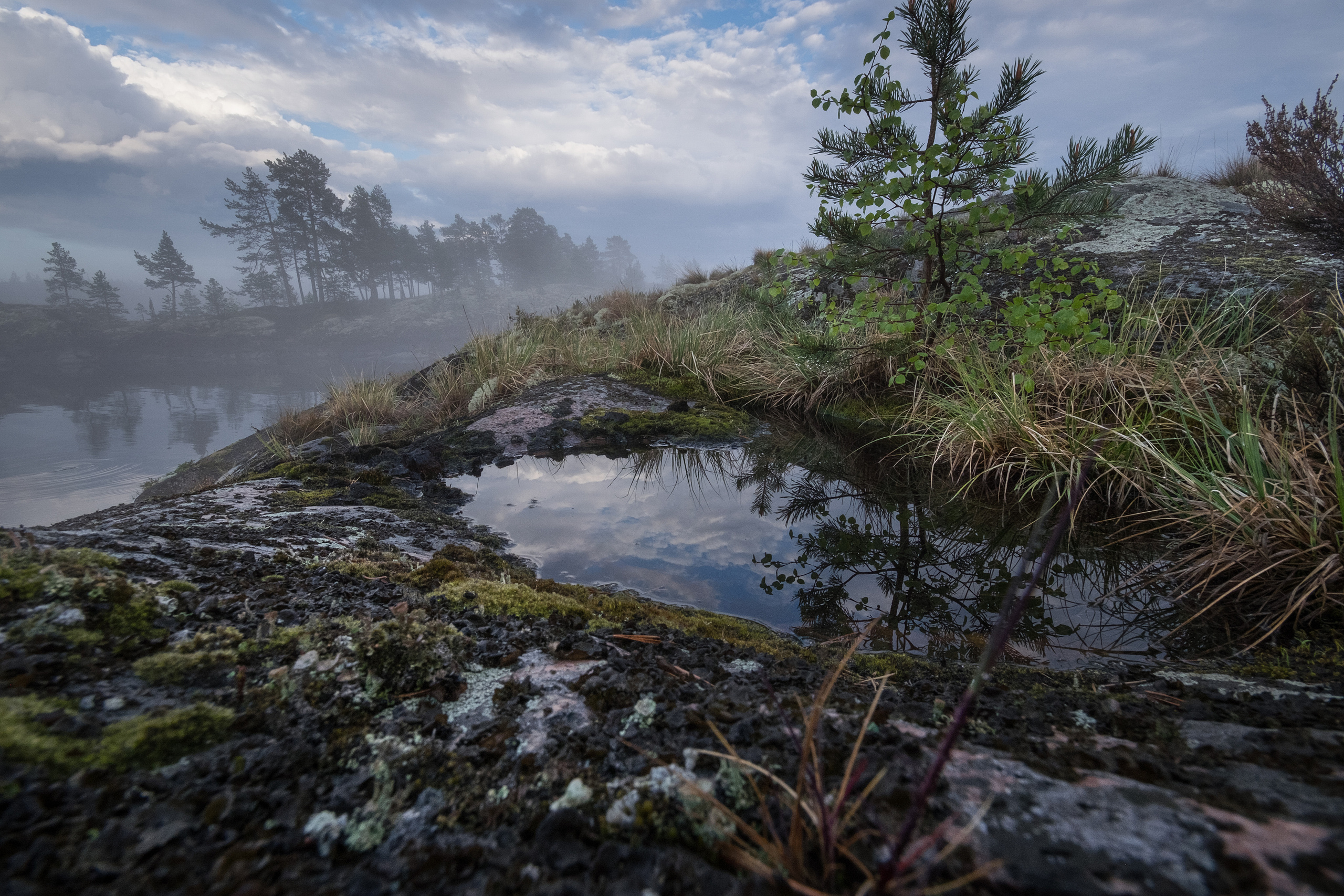 Карелия. Фотограф Антон Денисенко: Портрет, Документалистика, Пейзаж. Москва