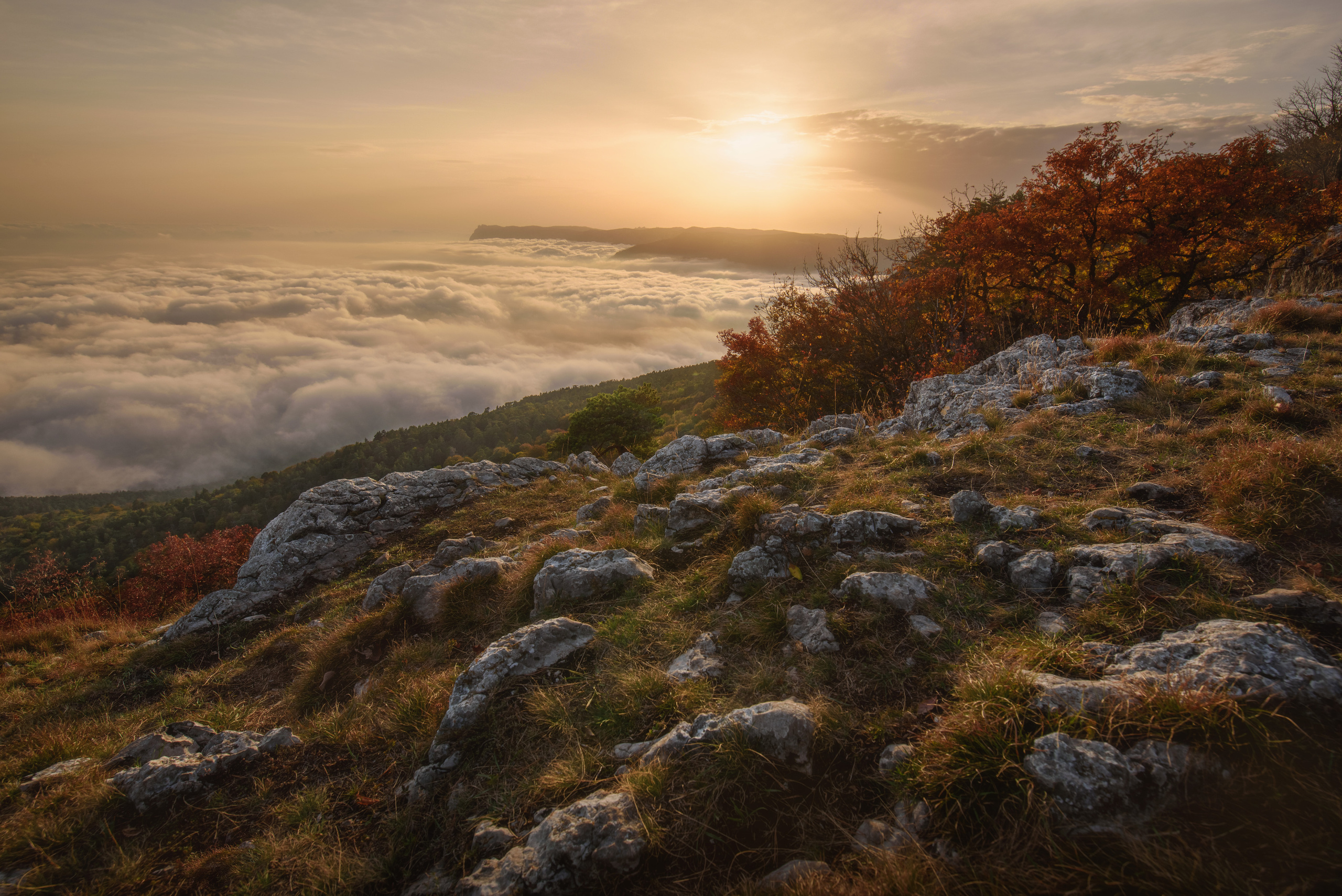 Крым. Фотограф Антон Денисенко: Портрет, Документалистика, Пейзаж. Москва