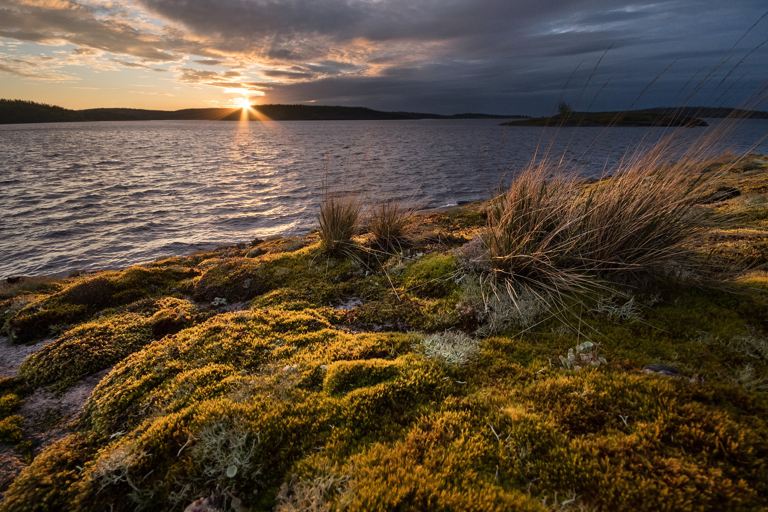 Карелия. Фотограф Антон Денисенко: Портрет, Документалистика, Пейзаж. Москва