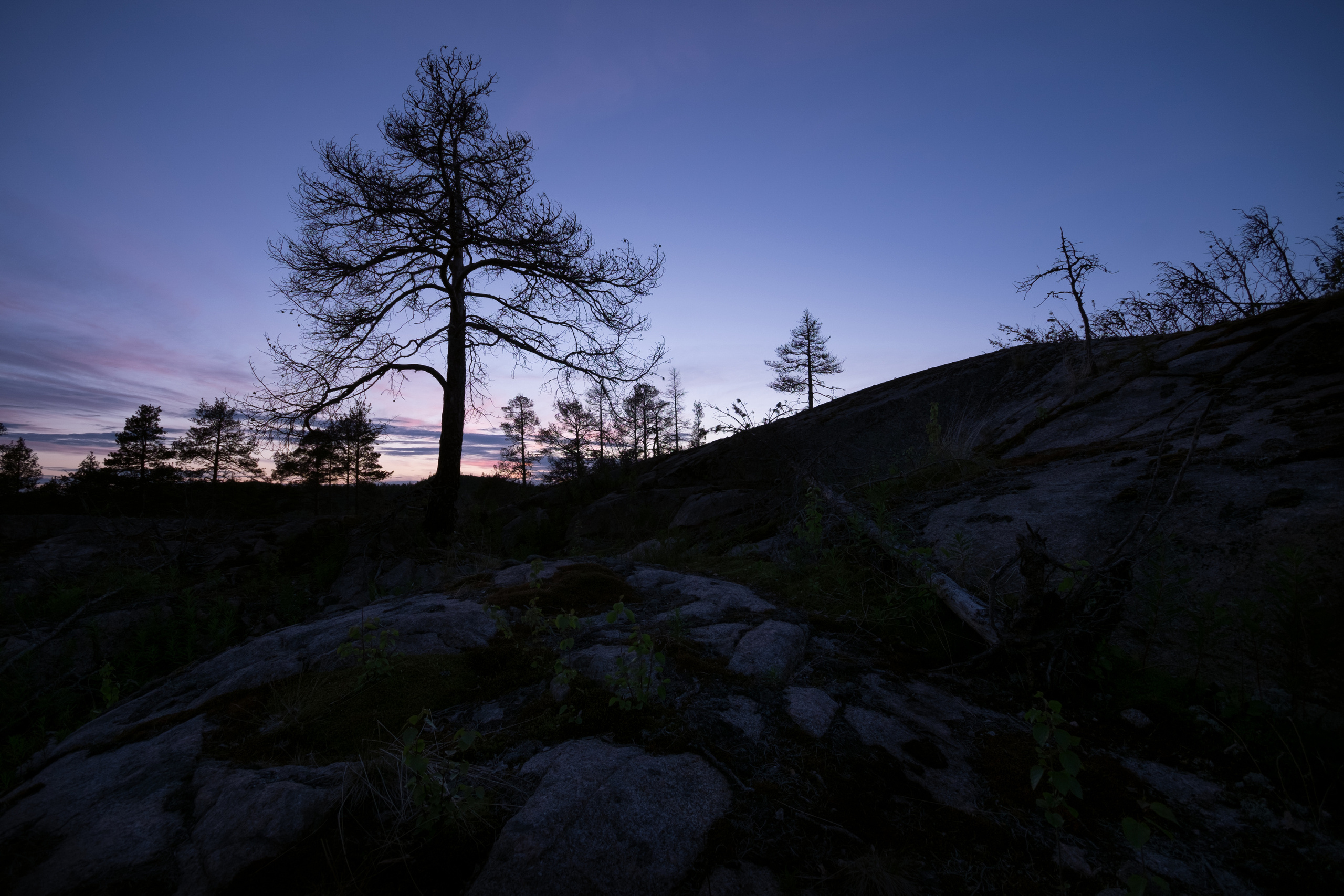 Карелия. Фотограф Антон Денисенко: Портрет, Документалистика, Пейзаж. Москва