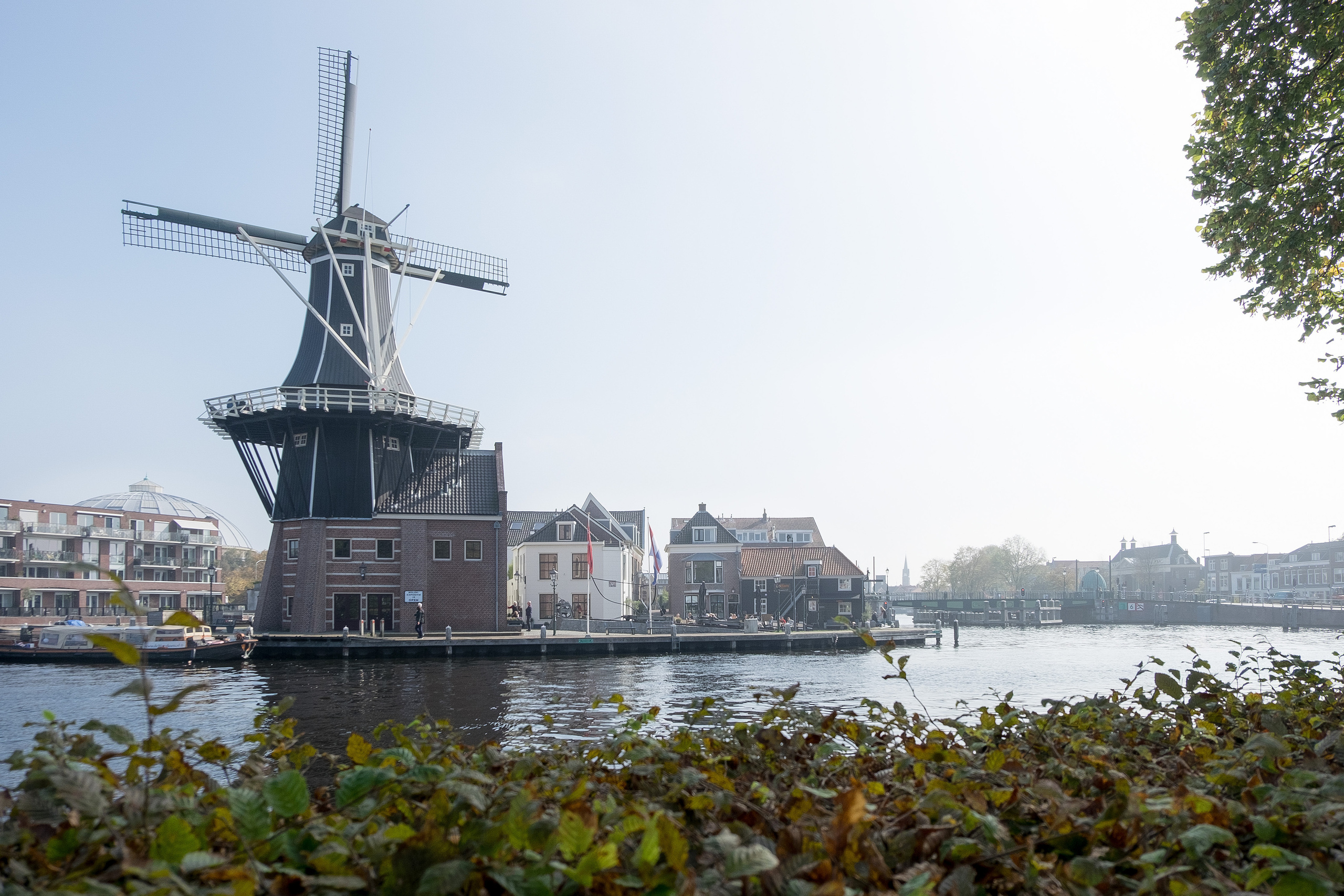 Амстердам I. Фотограф Антон Денисенко: Портрет, Документалистика, Пейзаж. Москва