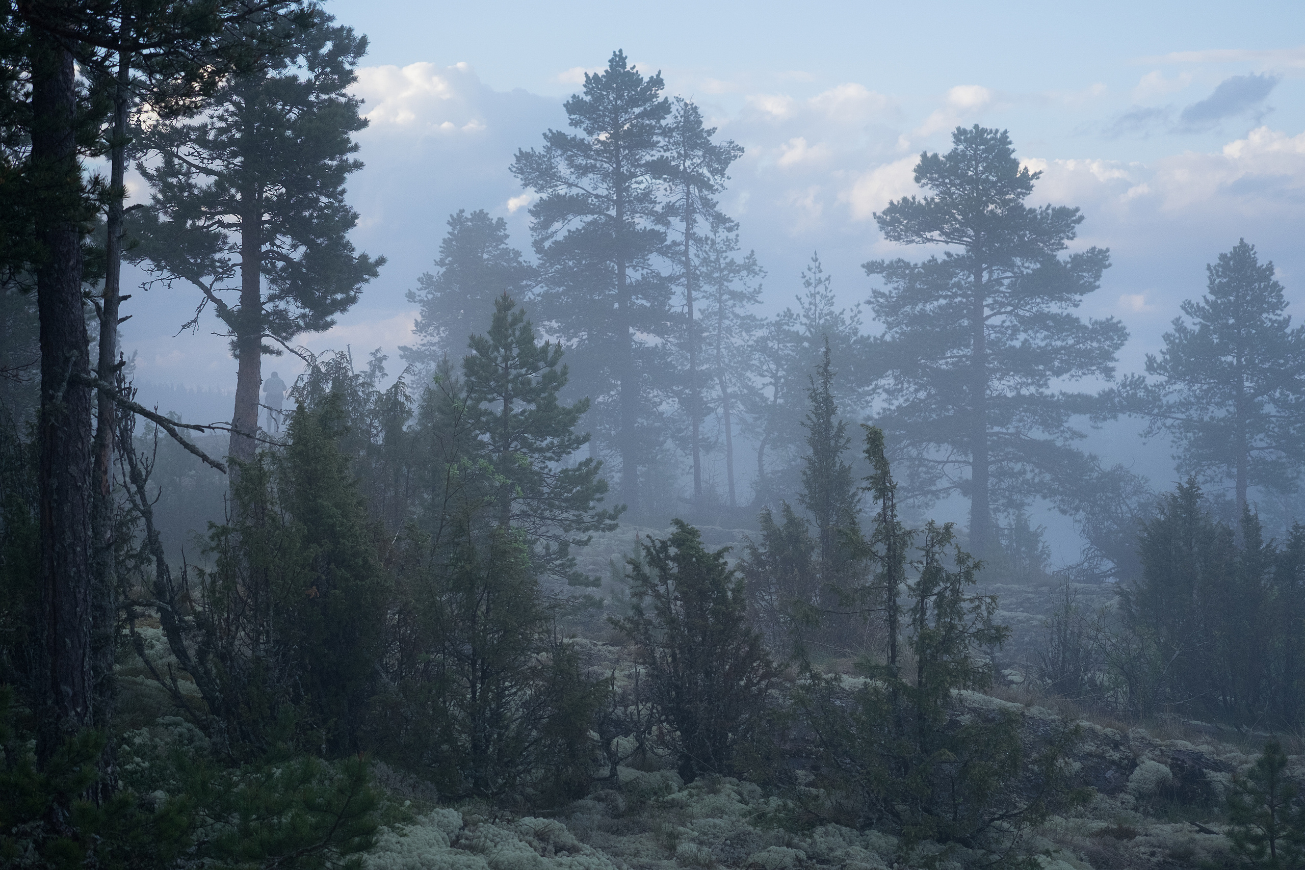 Карелия. Фотограф Антон Денисенко: Портрет, Документалистика, Пейзаж. Москва