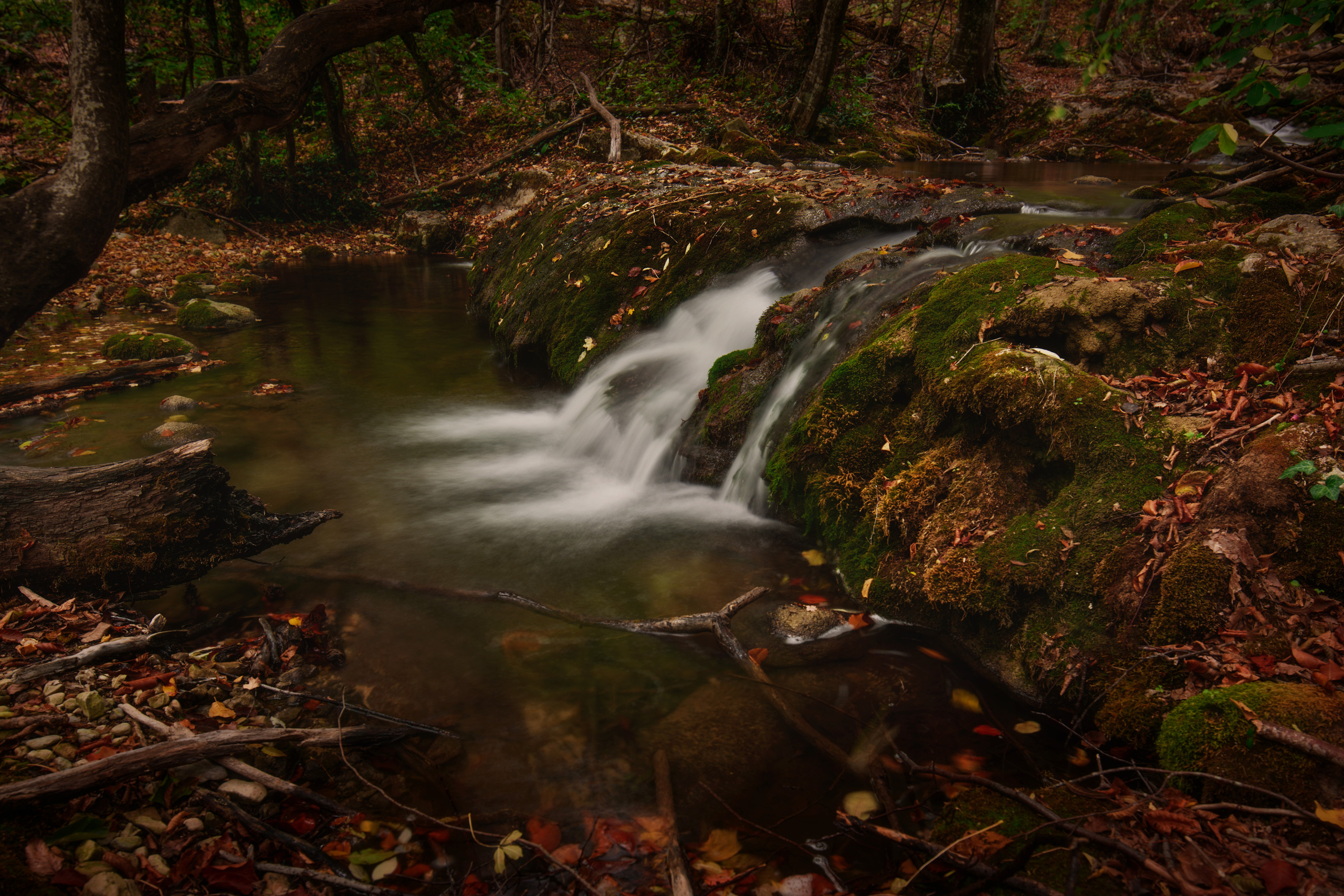 Крым. Фотограф Антон Денисенко: Портрет, Документалистика, Пейзаж. Москва
