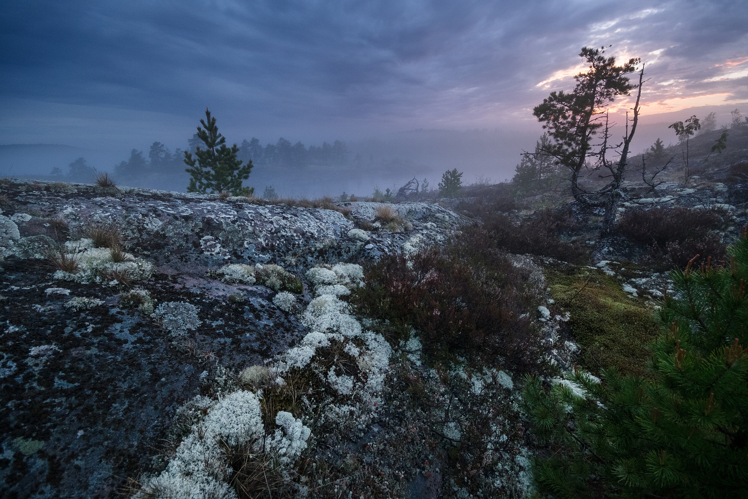 Карелия. Фотограф Антон Денисенко: Портрет, Документалистика, Пейзаж. Москва