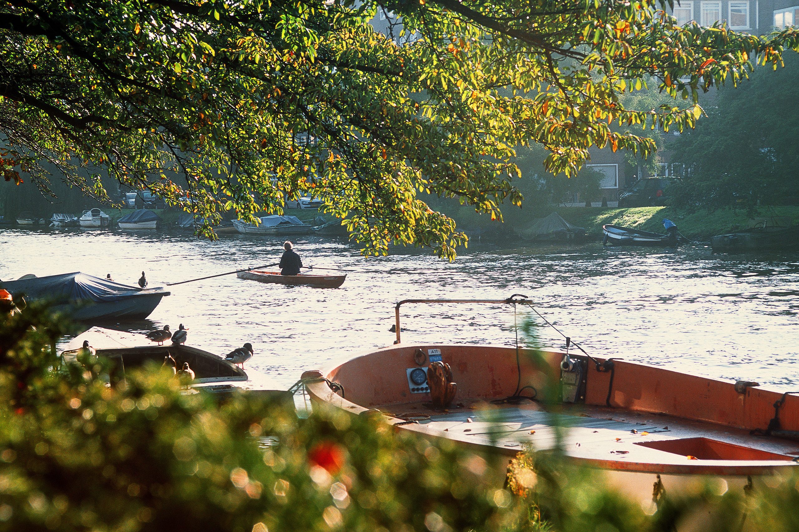 Амстердам II. Фотограф Антон Денисенко: Портрет, Документалистика, Пейзаж. Москва