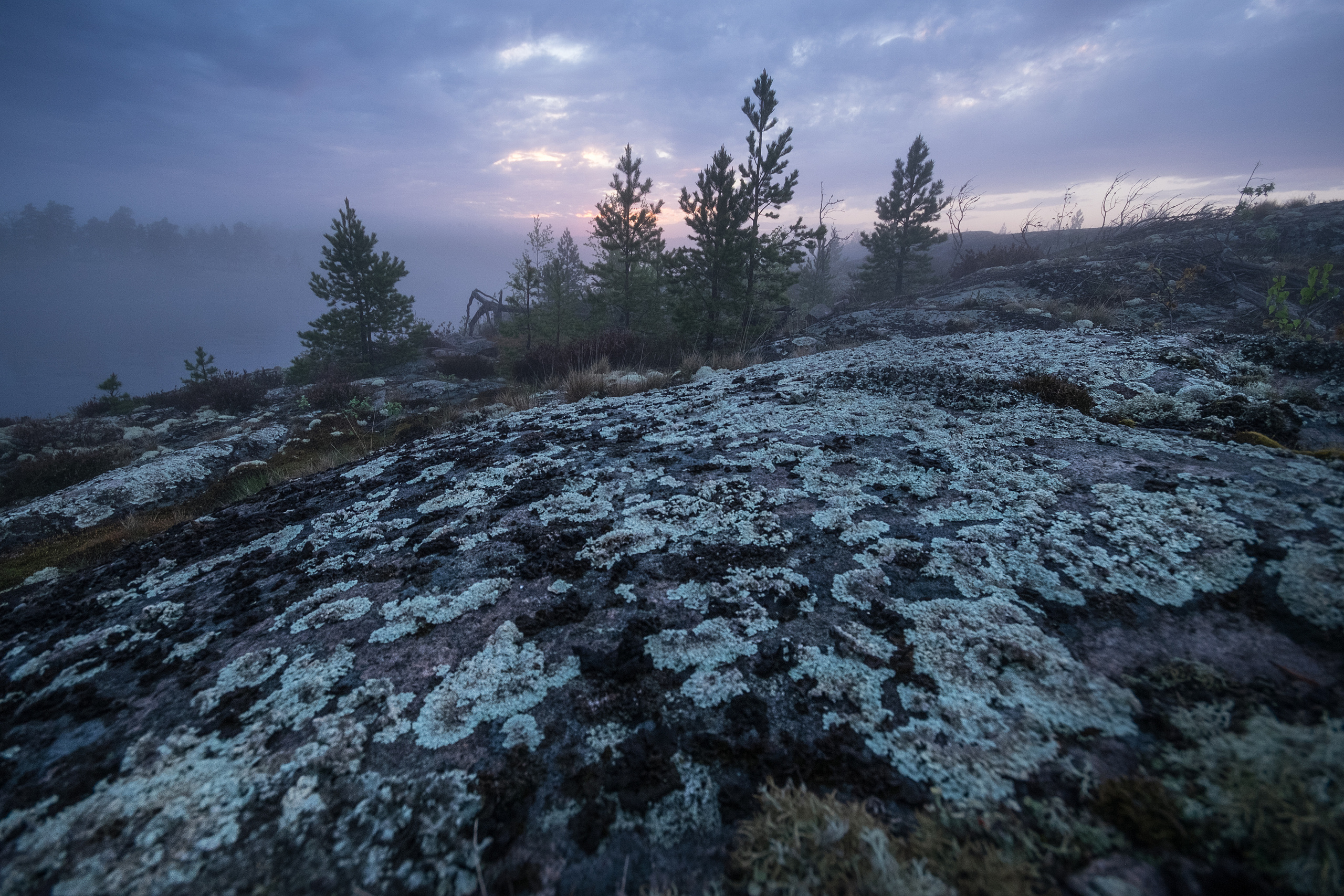 Карелия. Фотограф Антон Денисенко: Портрет, Документалистика, Пейзаж. Москва