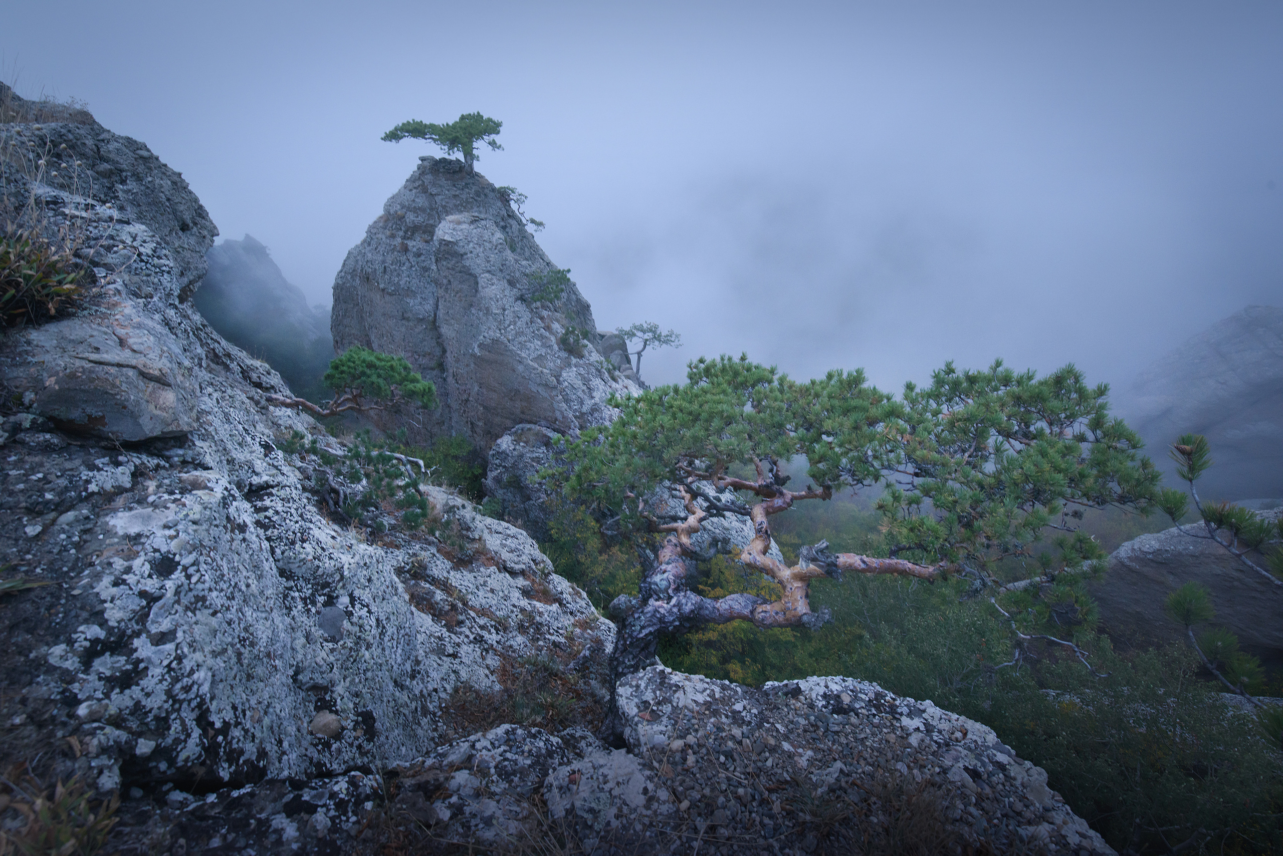 Крым. Фотограф Антон Денисенко: Портрет, Документалистика, Пейзаж. Москва