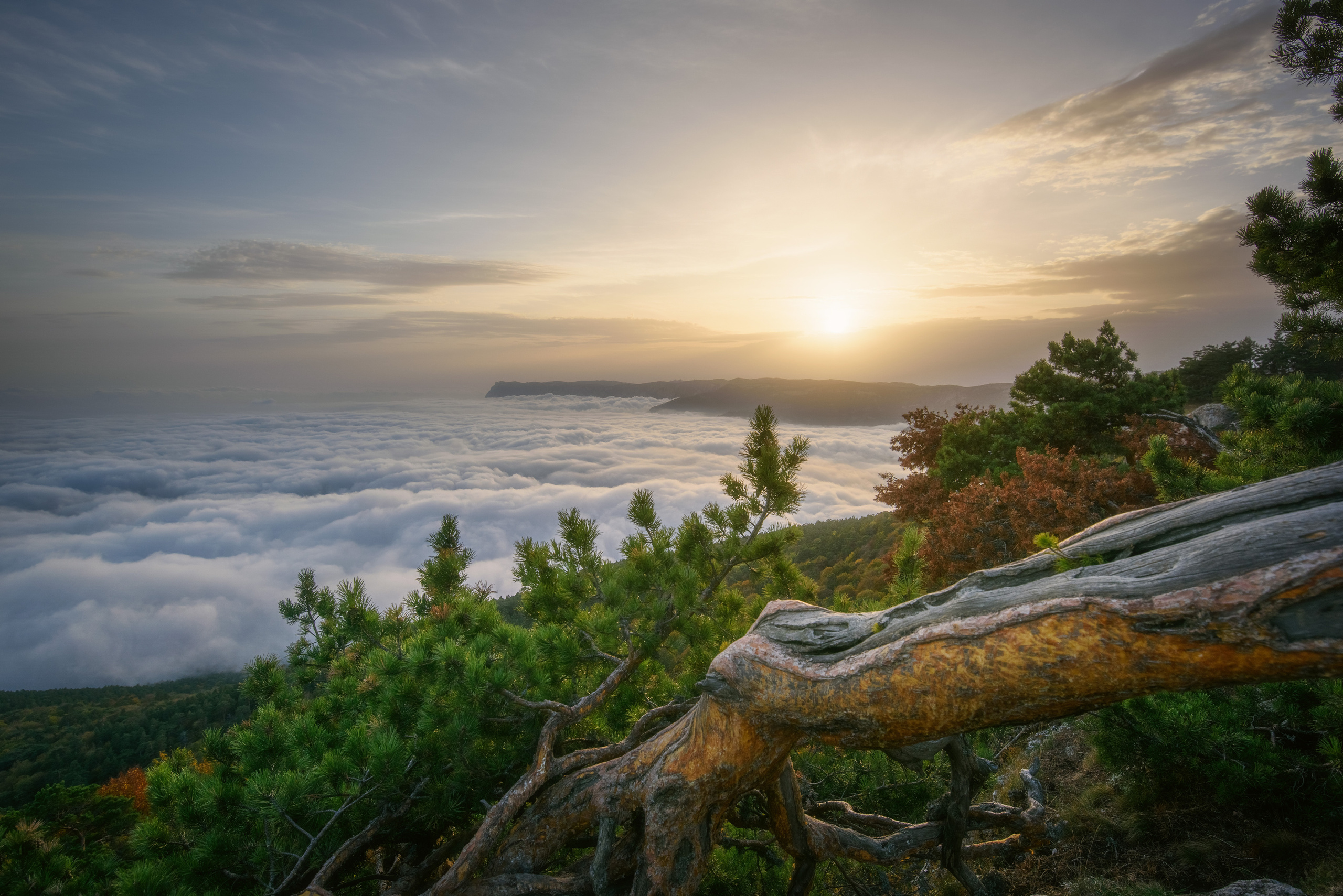 Крым. Фотограф Антон Денисенко: Портрет, Документалистика, Пейзаж. Москва