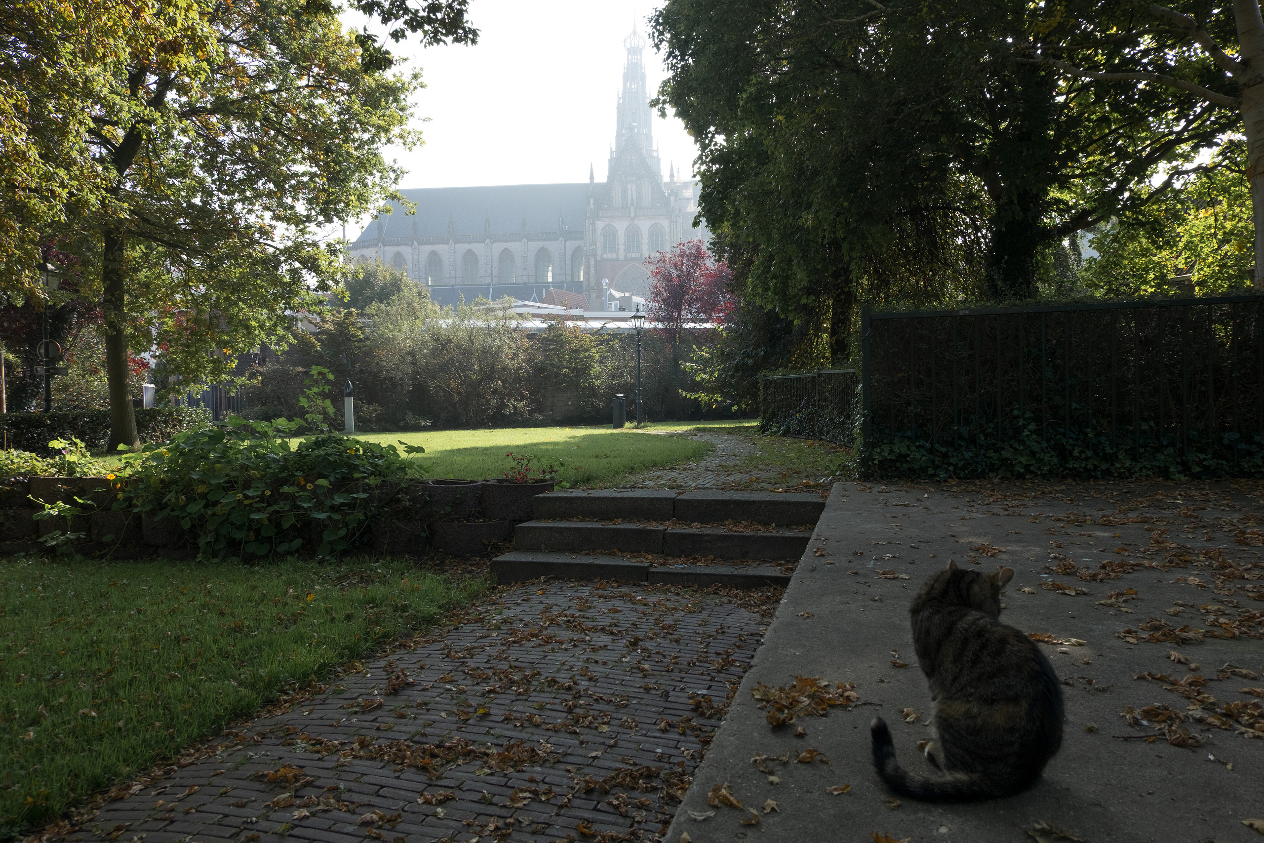 Амстердам I. Фотограф Антон Денисенко: Портрет, Документалистика, Пейзаж. Москва