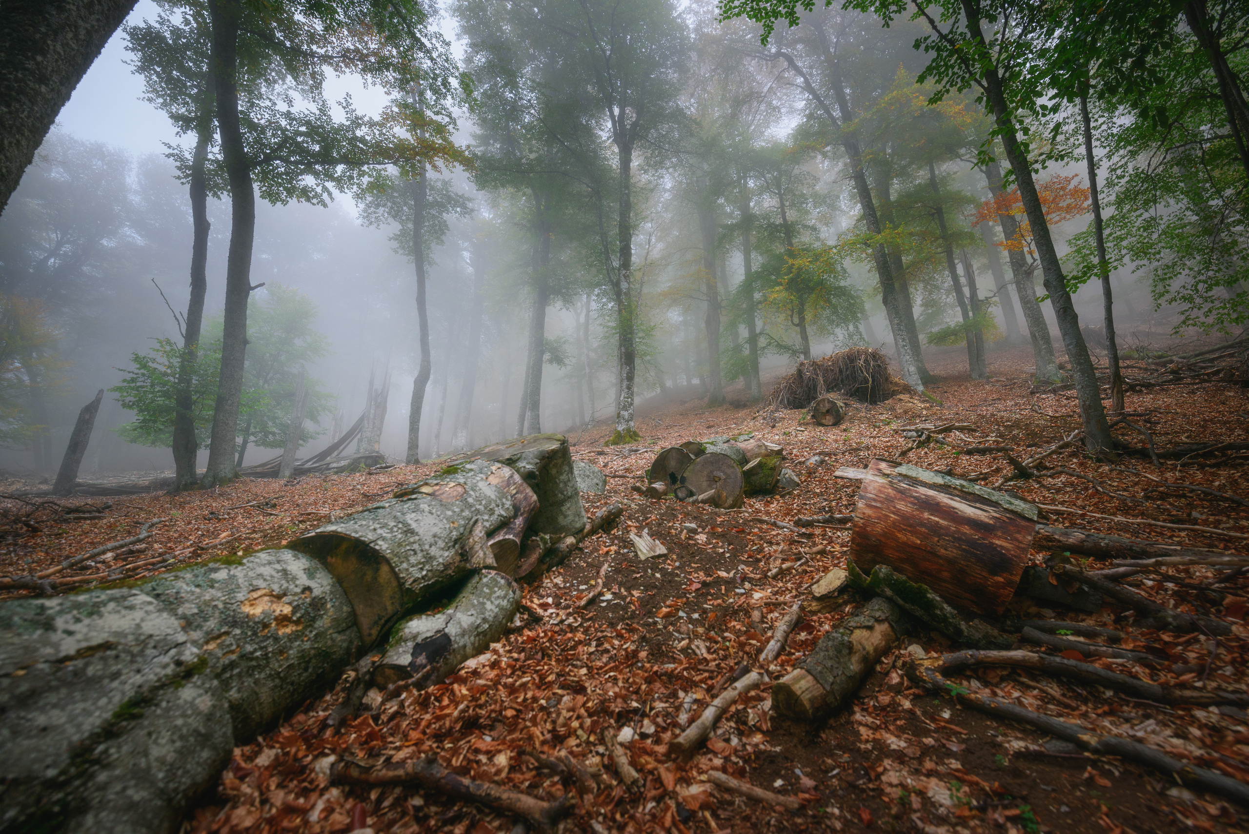 Крым. Фотограф Антон Денисенко: Портрет, Документалистика, Пейзаж. Москва