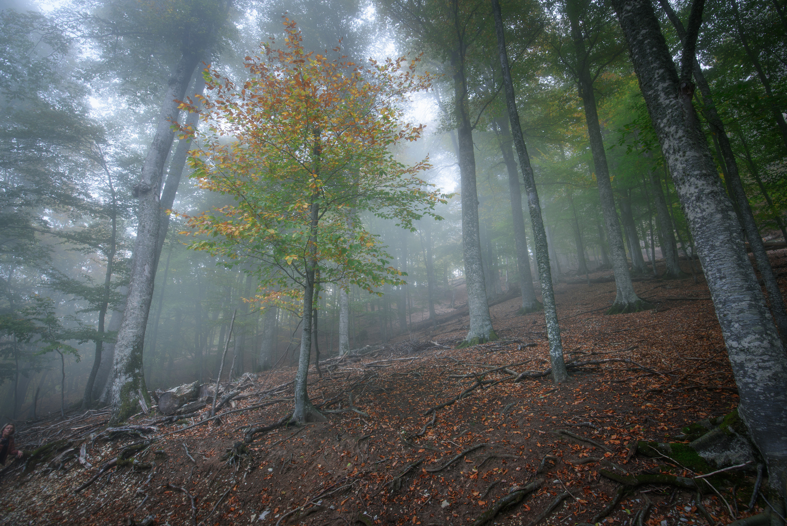 Крым. Фотограф Антон Денисенко: Портрет, Документалистика, Пейзаж. Москва