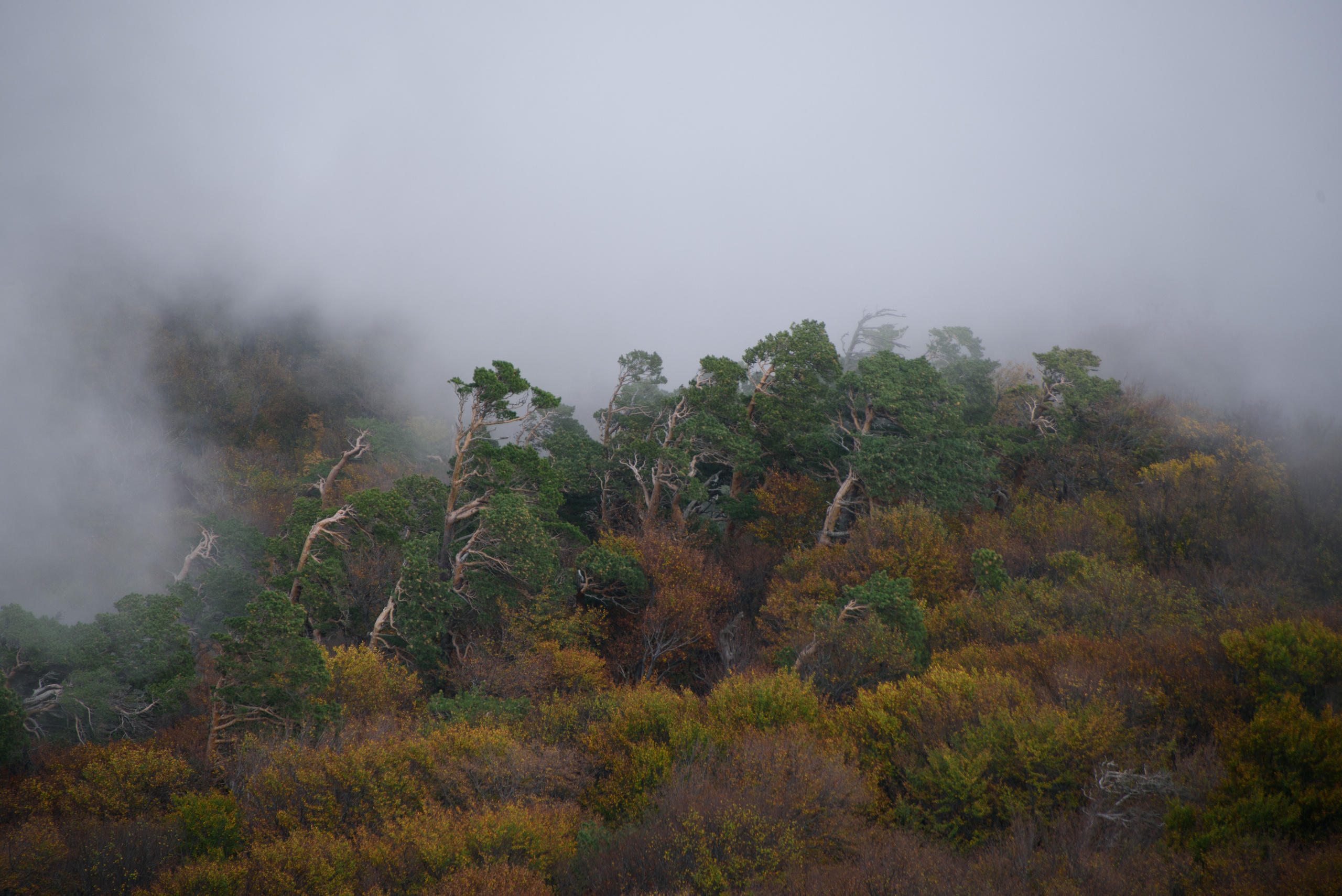 Крым. Фотограф Антон Денисенко: Портрет, Документалистика, Пейзаж. Москва