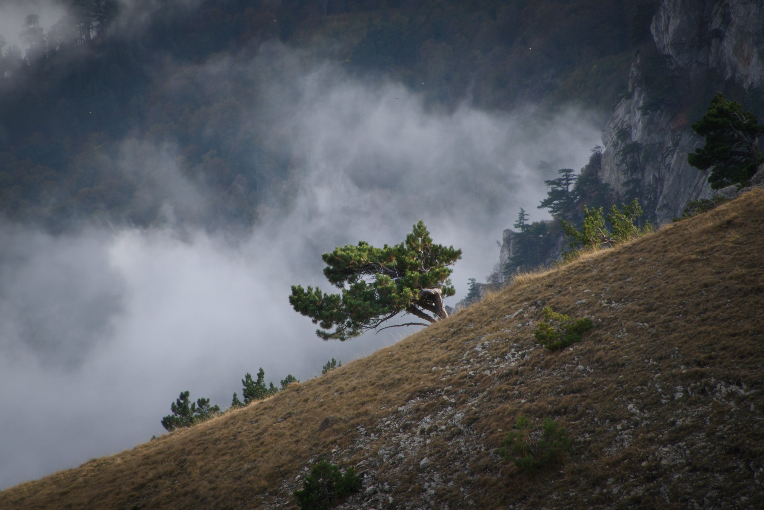 Крым. Фотограф Антон Денисенко: Портрет, Документалистика, Пейзаж. Москва