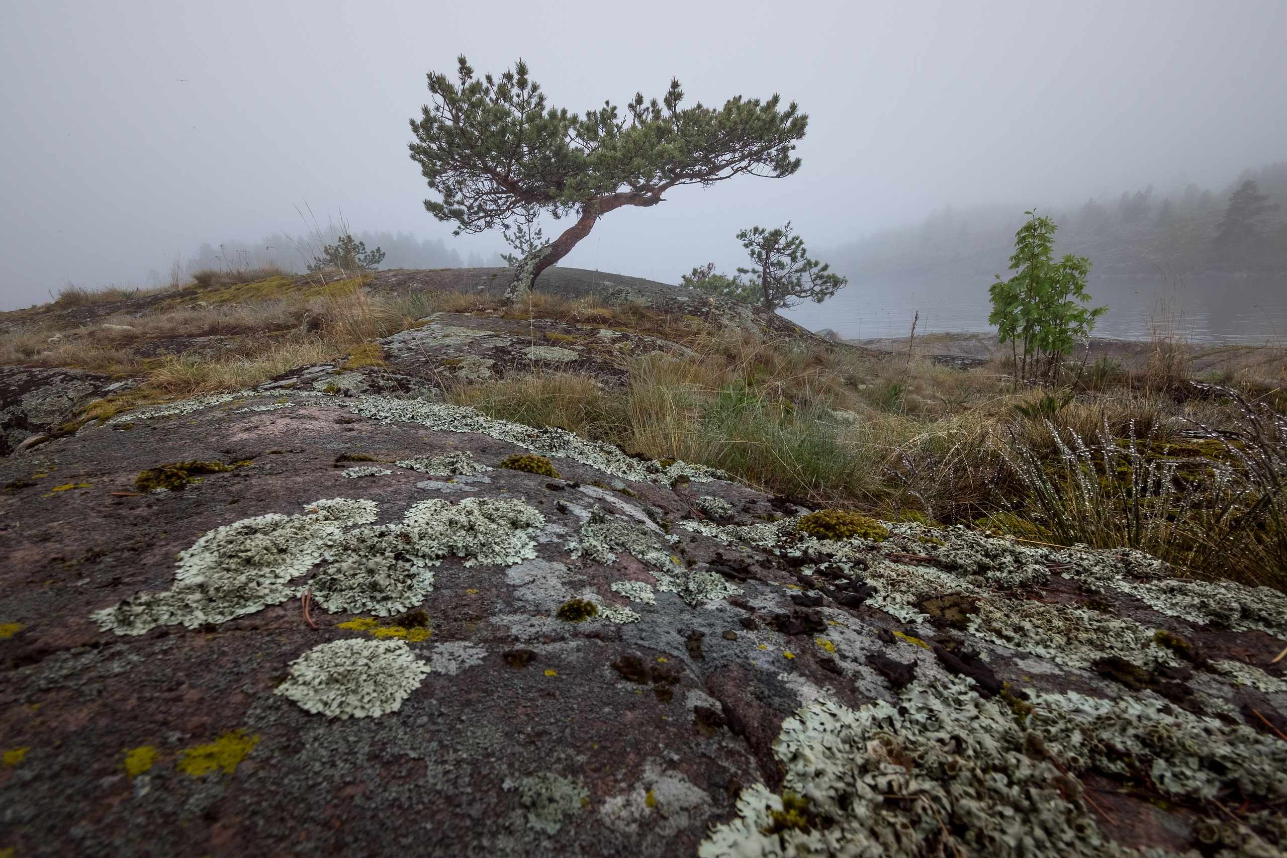 Карелия. Фотограф Антон Денисенко: Портрет, Документалистика, Пейзаж. Москва