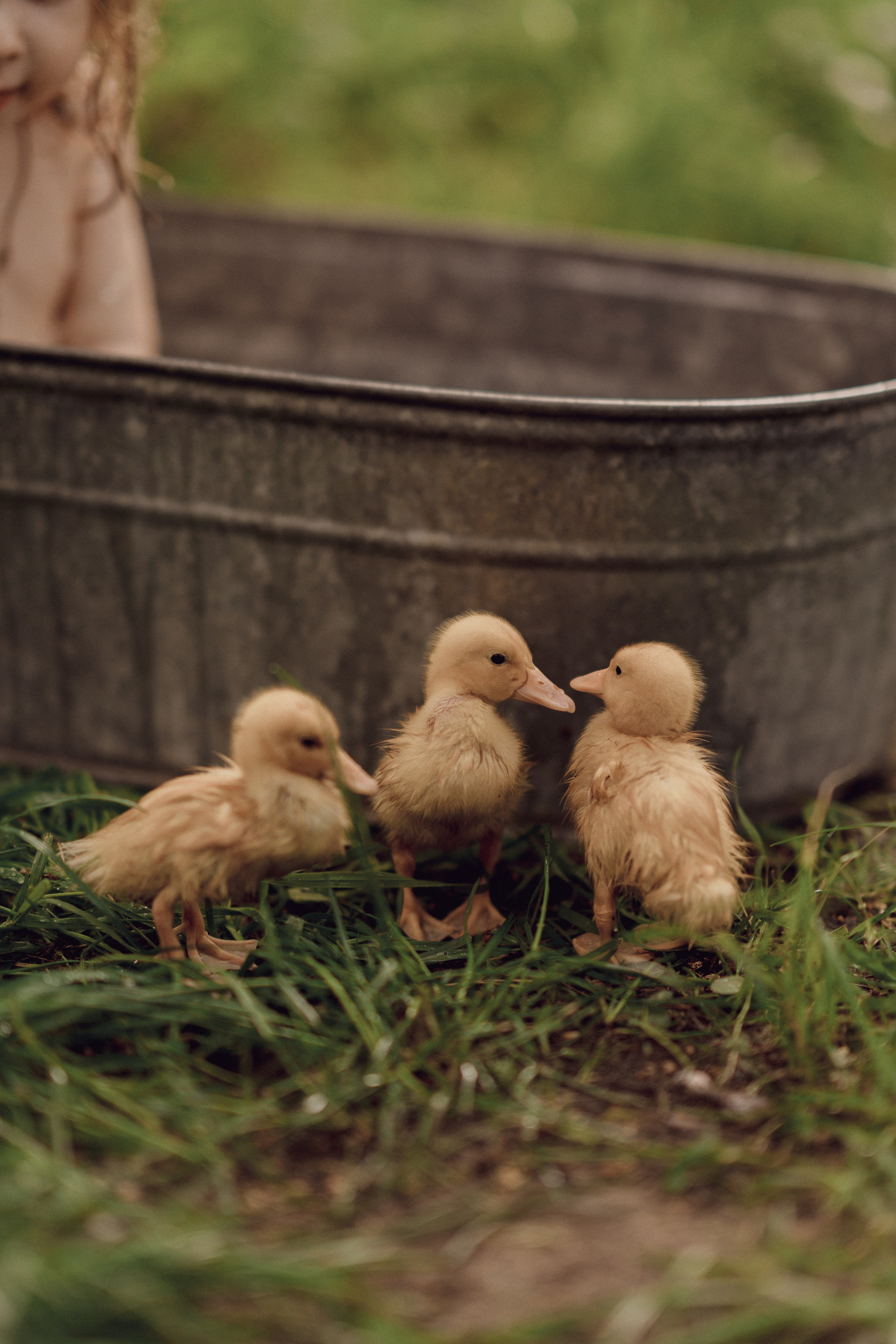 Мира с мамой Анной. Семейный и детский фотограф в Сергиев Посаде, Хотьково Якимчук Любовь