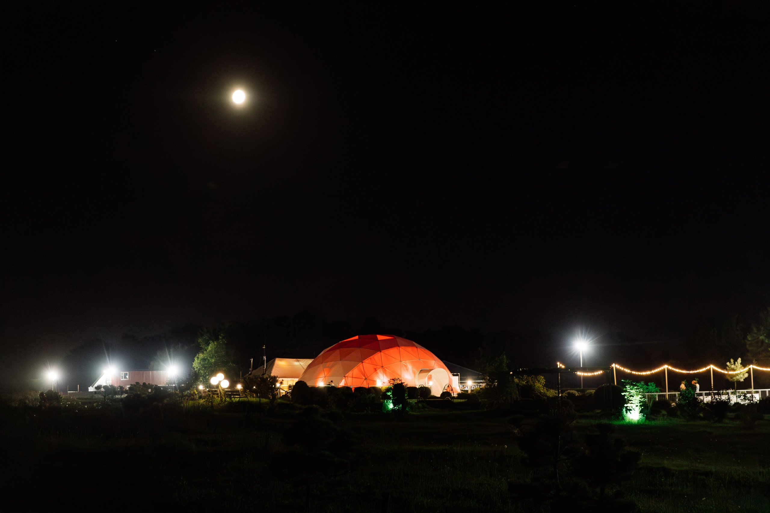 Изгиб. Свадебный фотограф Дмитрий Воробьев Ярославль