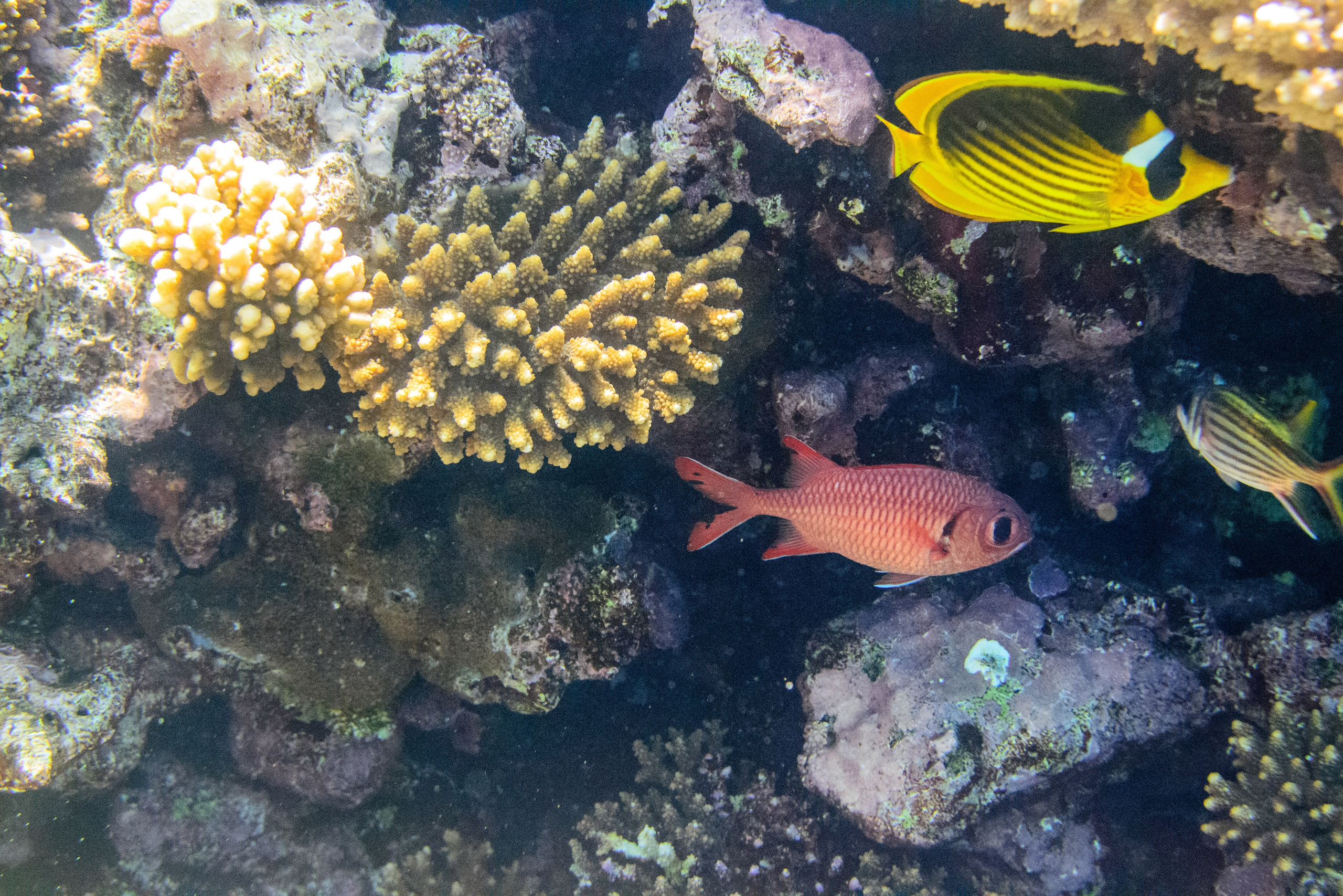 Море. Фотограф в Санкт-Петербурге Ибрагимова Алина