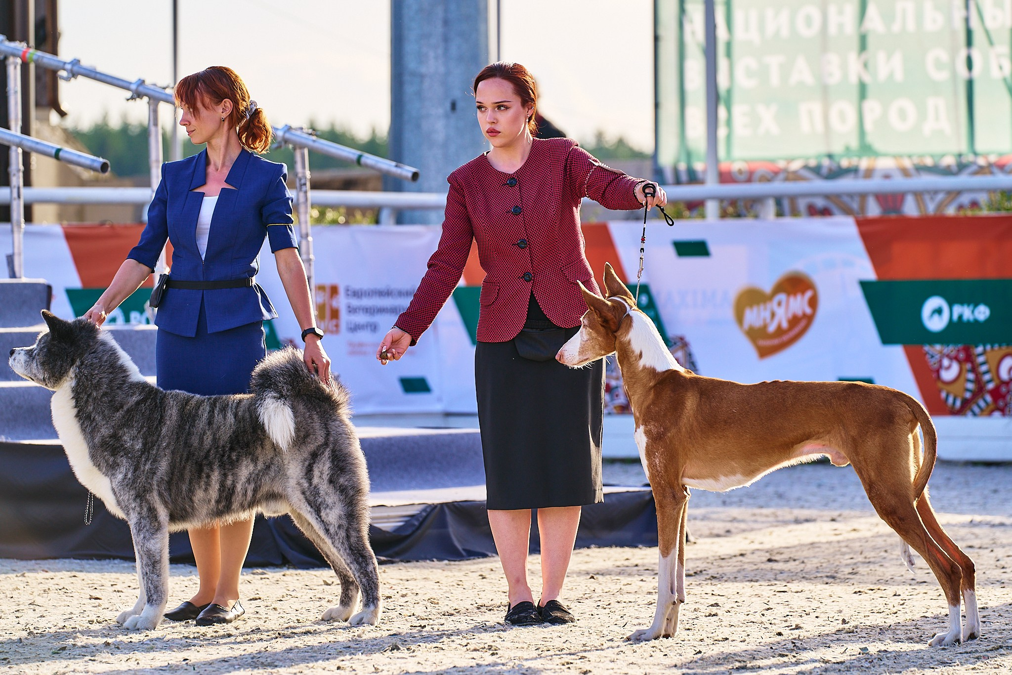 08.06.2024 «РОССИЯ. КУБОК РКФ 2024»