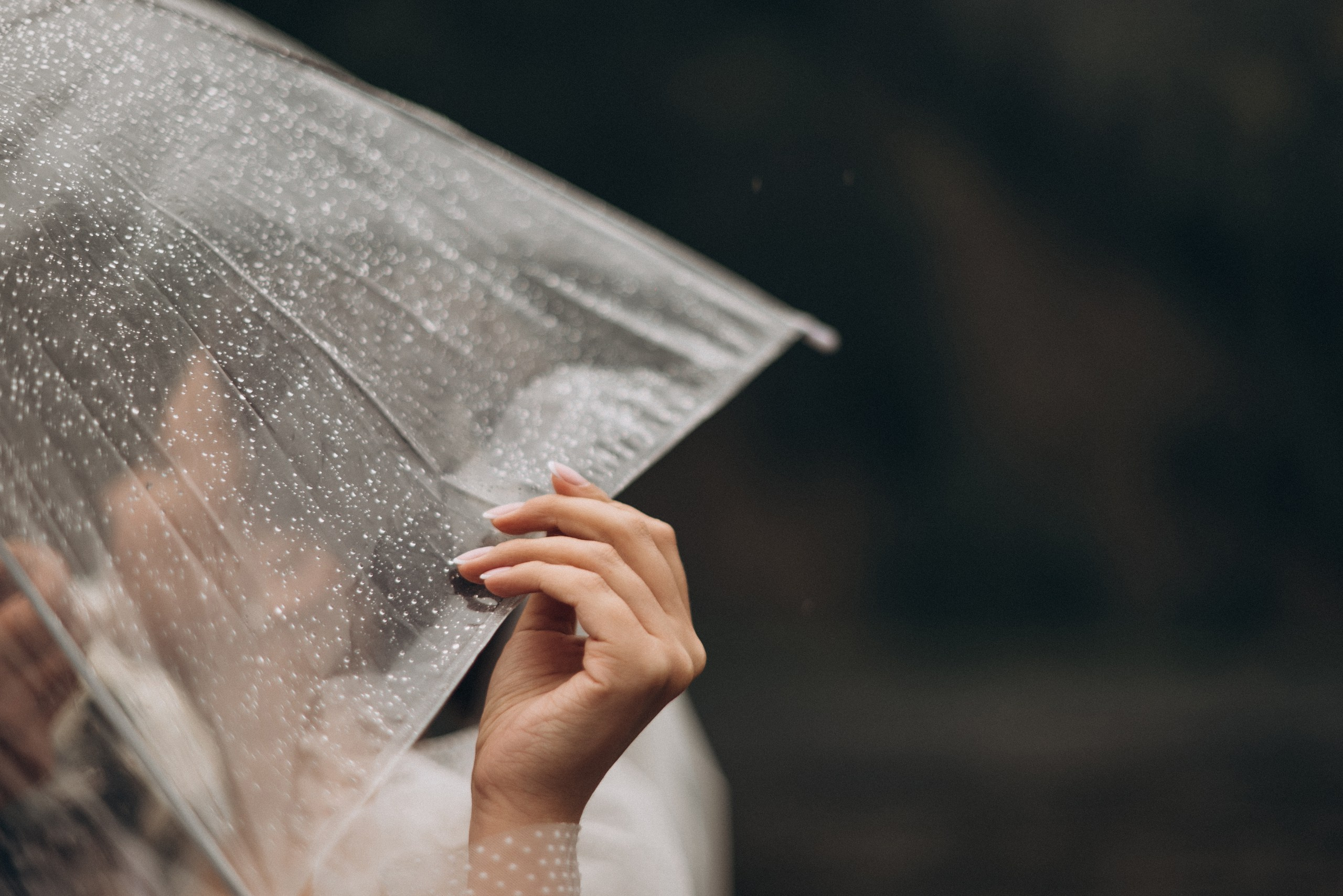 Владимир и Анастасия. Свадебный фотограф