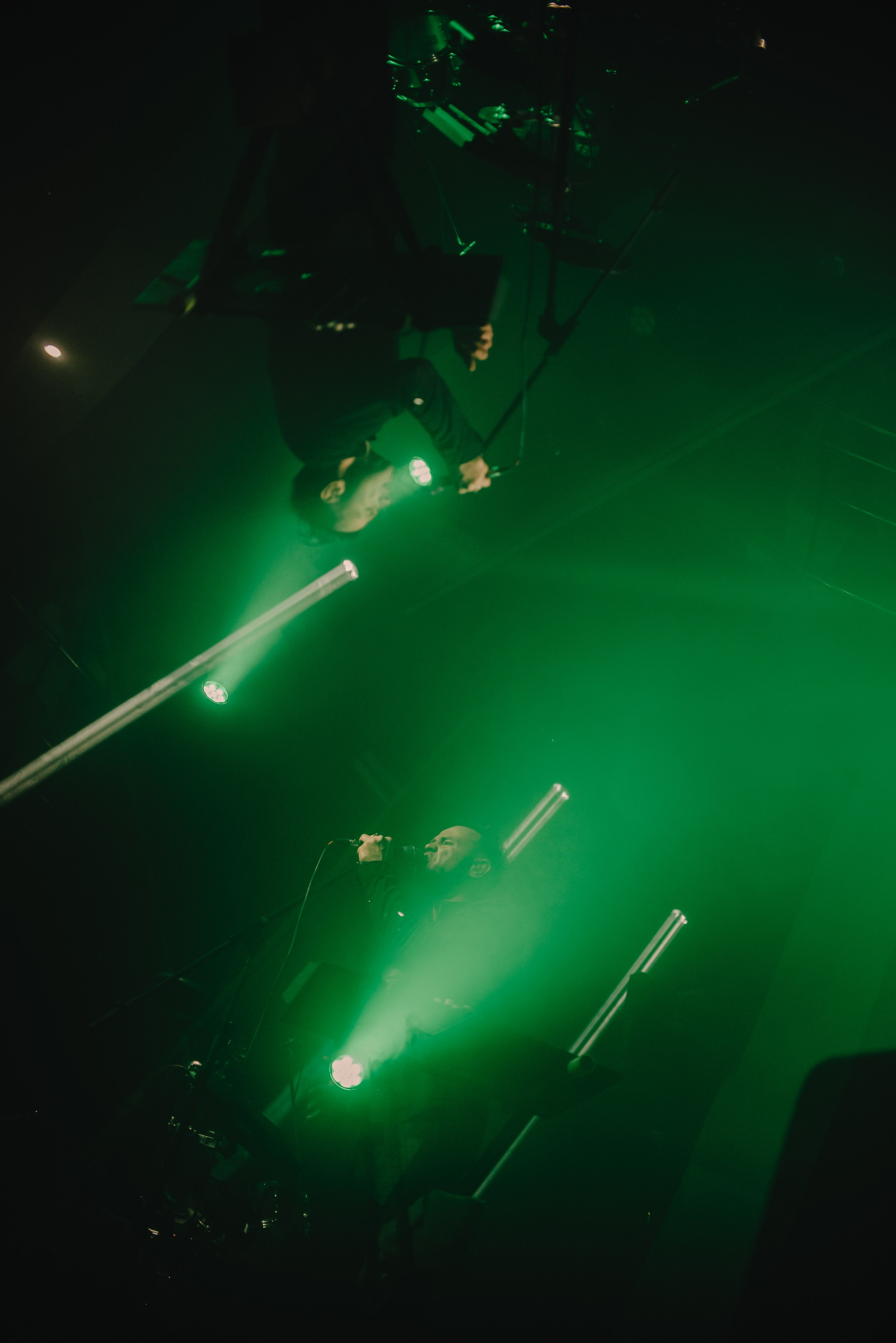 Дельфин | Gaudi. Контент фотограф Илья Урс